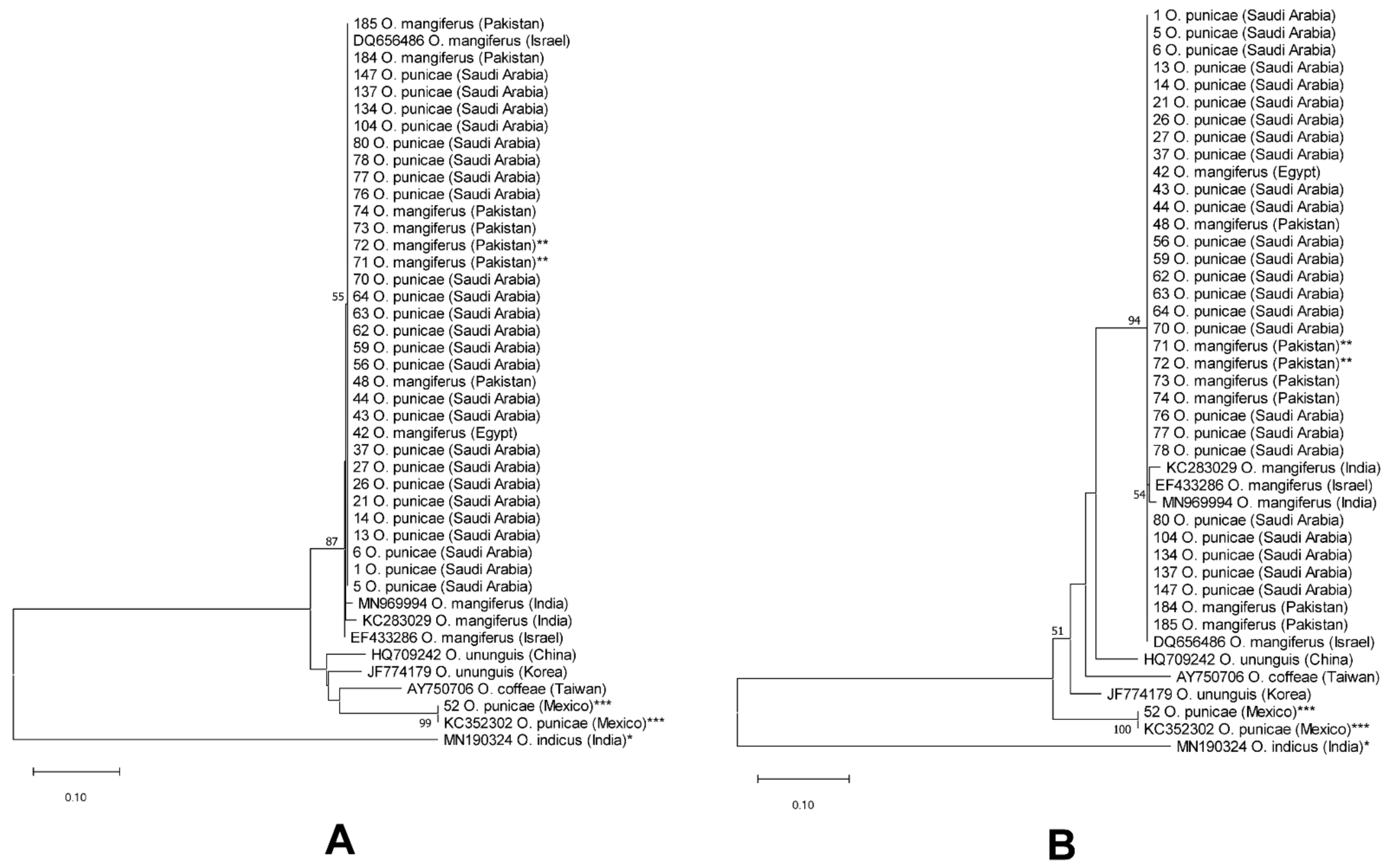 Insects 14 00003 g006