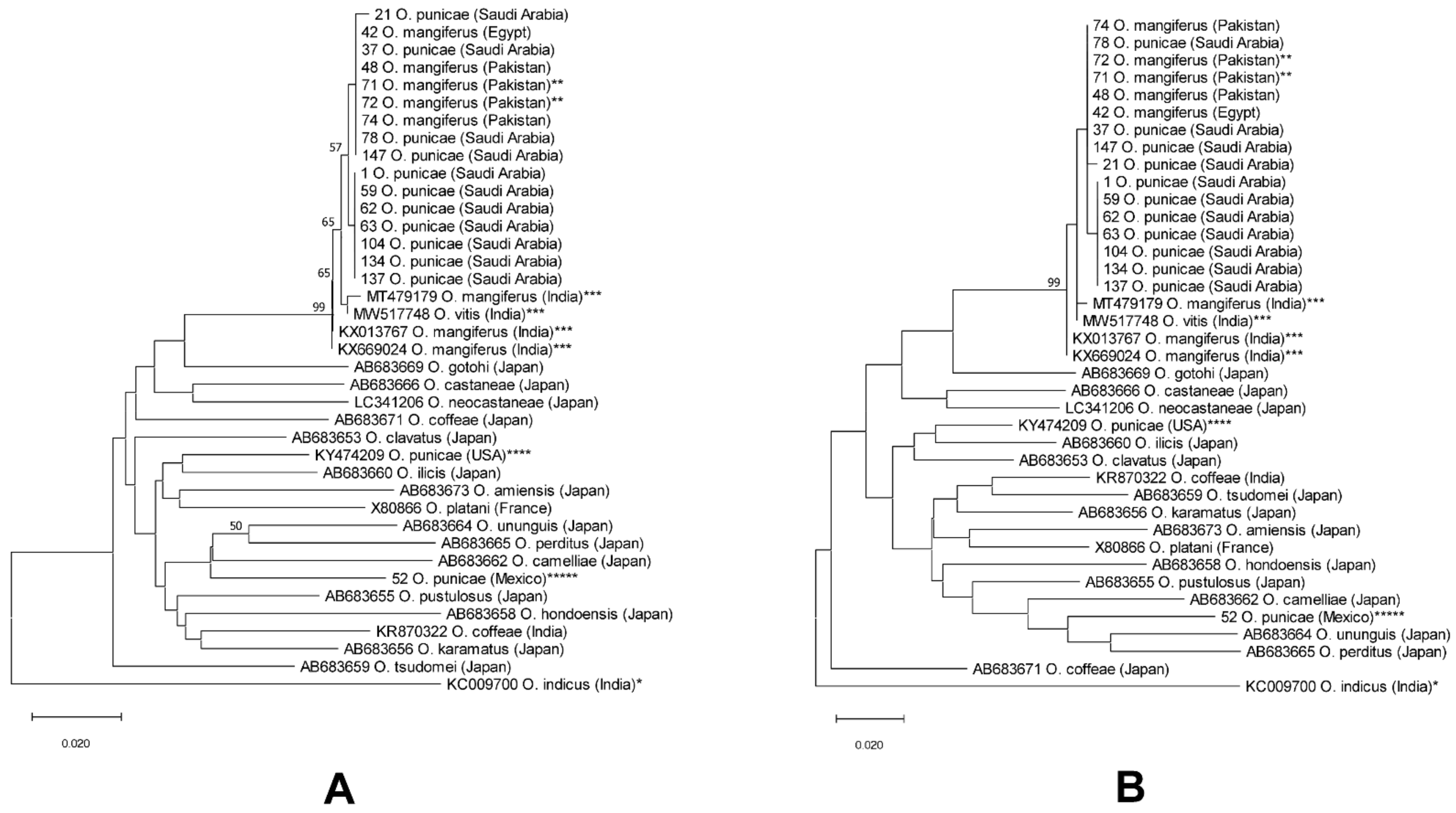 Insects 14 00003 g007