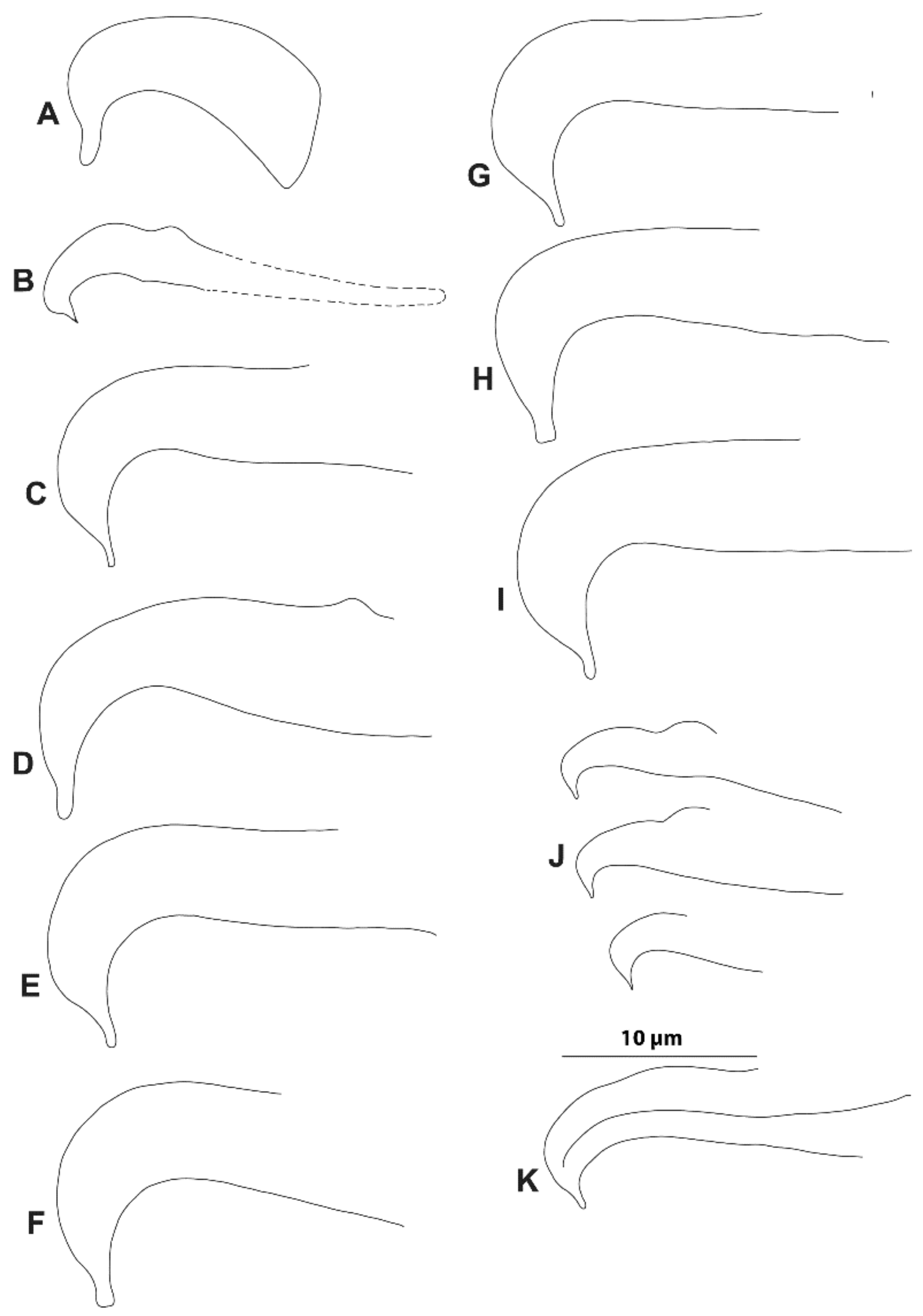 Insects 14 00003 g008