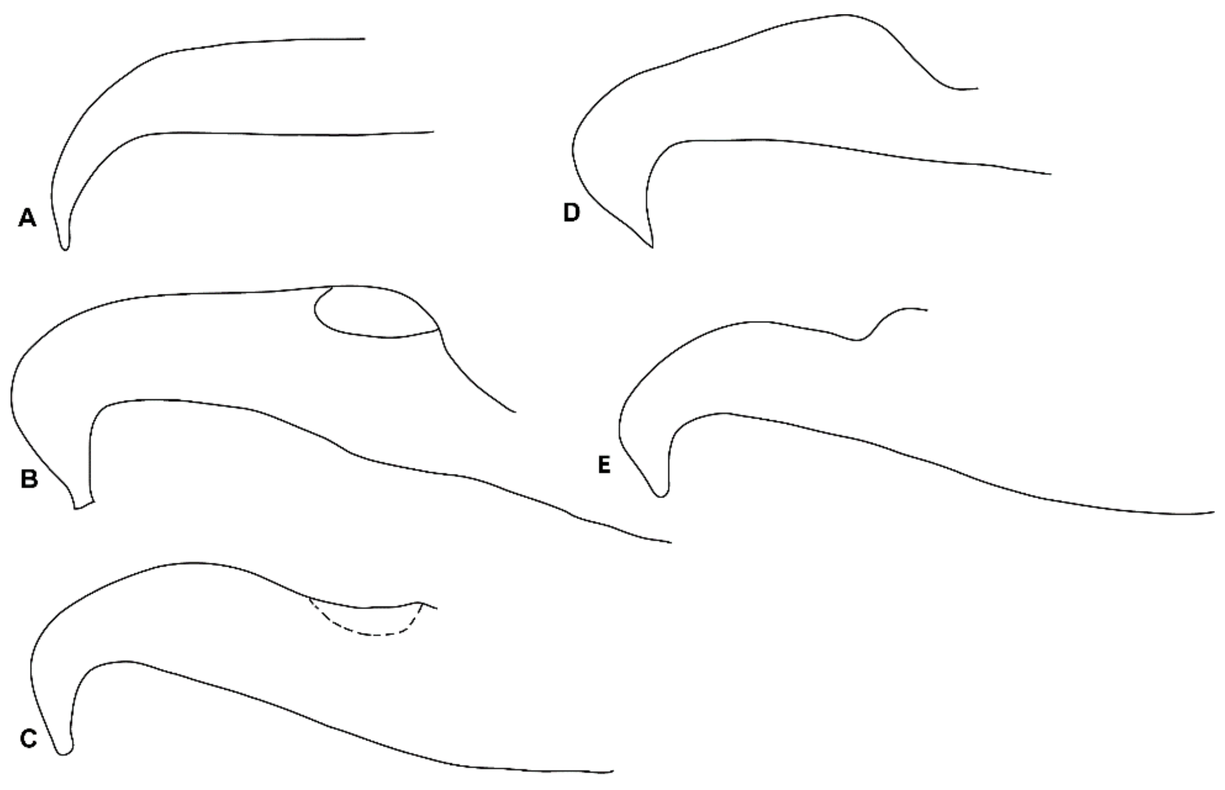 Insects 14 00003 g010