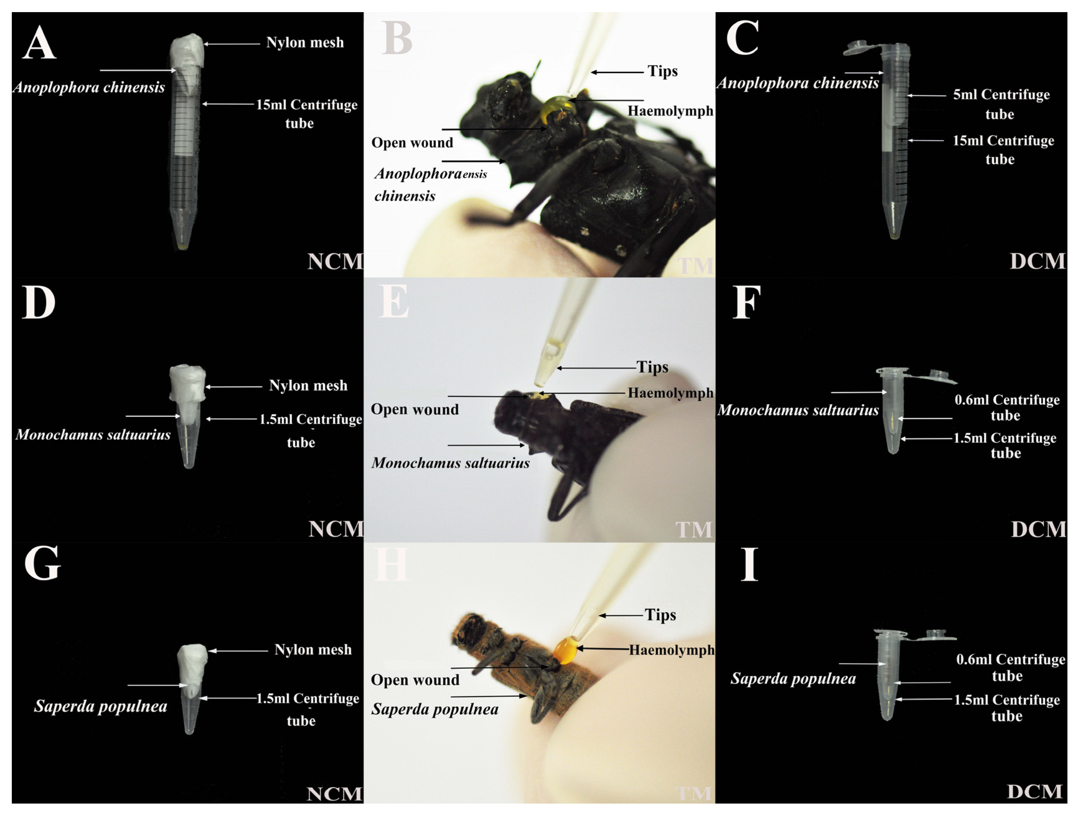Insects 14 00029 g002 Insects 14 00029 g002