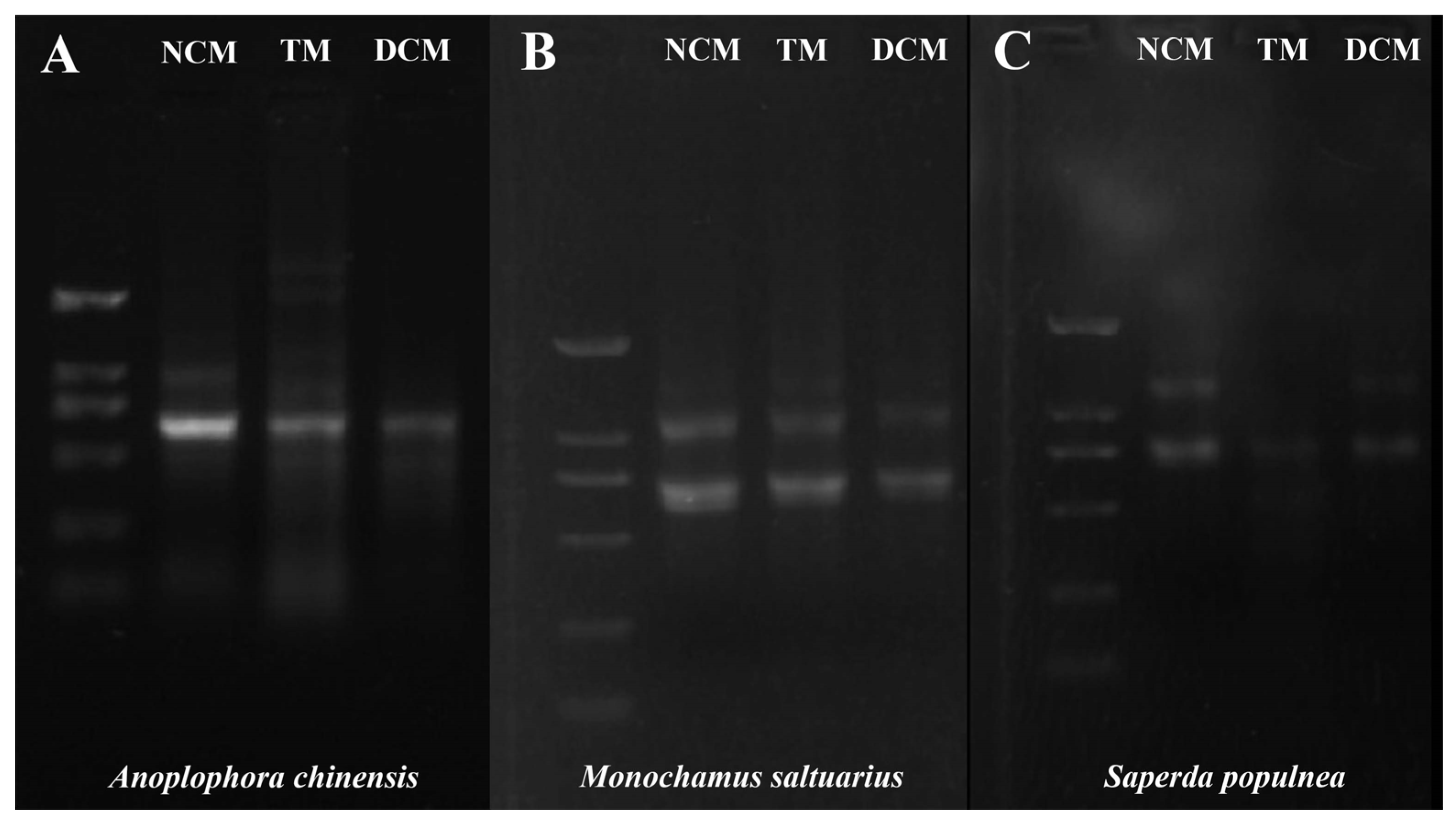 Insects 14 00029 g005 Insects 14 00029 g005