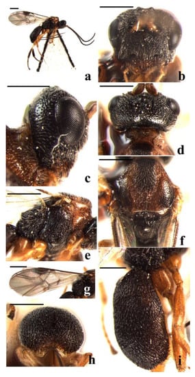 Insects 14 00036 g001