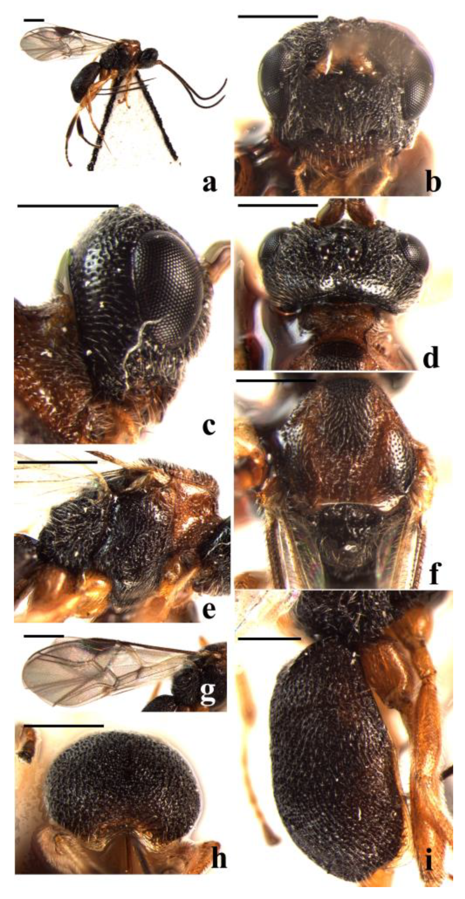 Insects 14 00036 g001