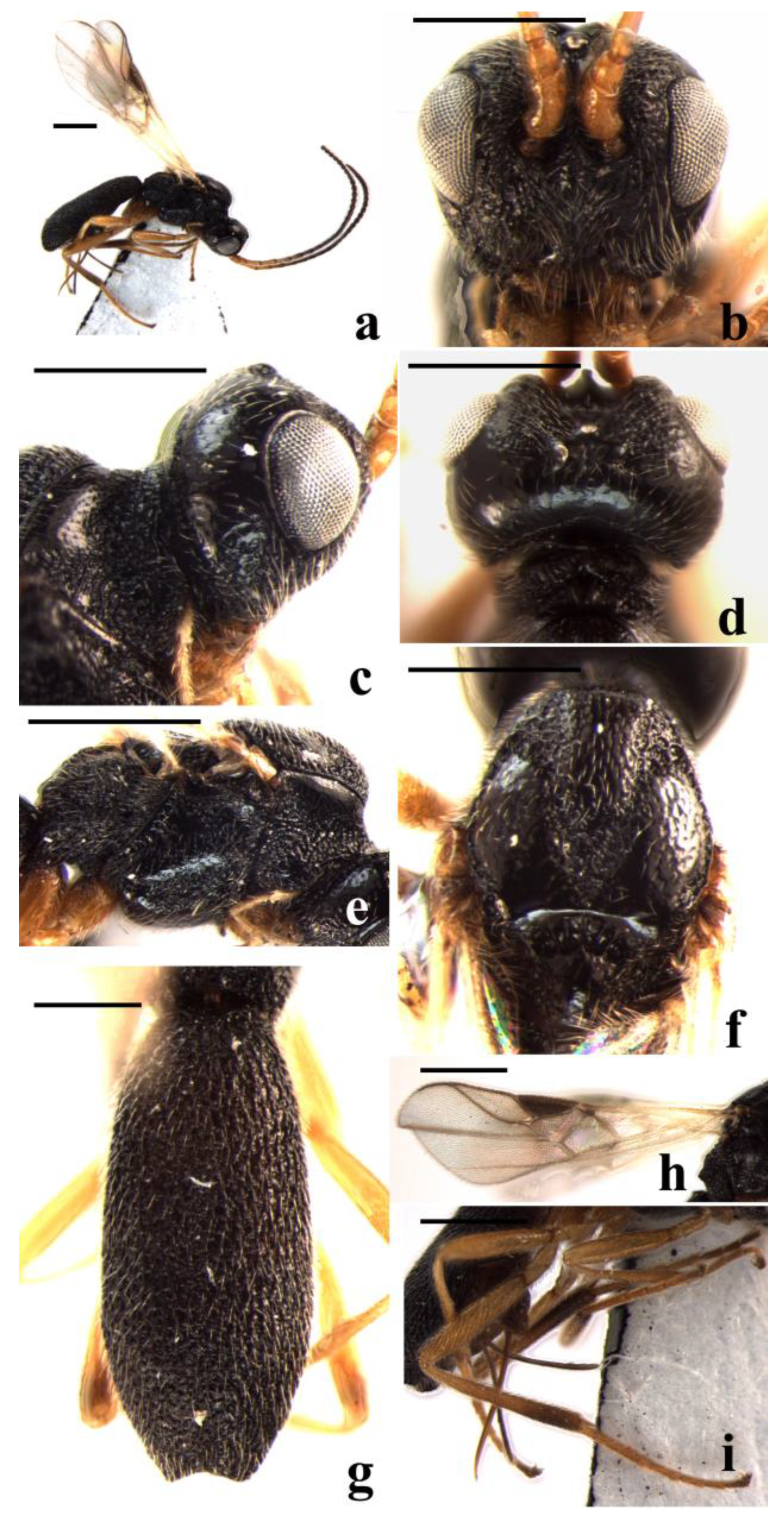 Insects 14 00036 g003