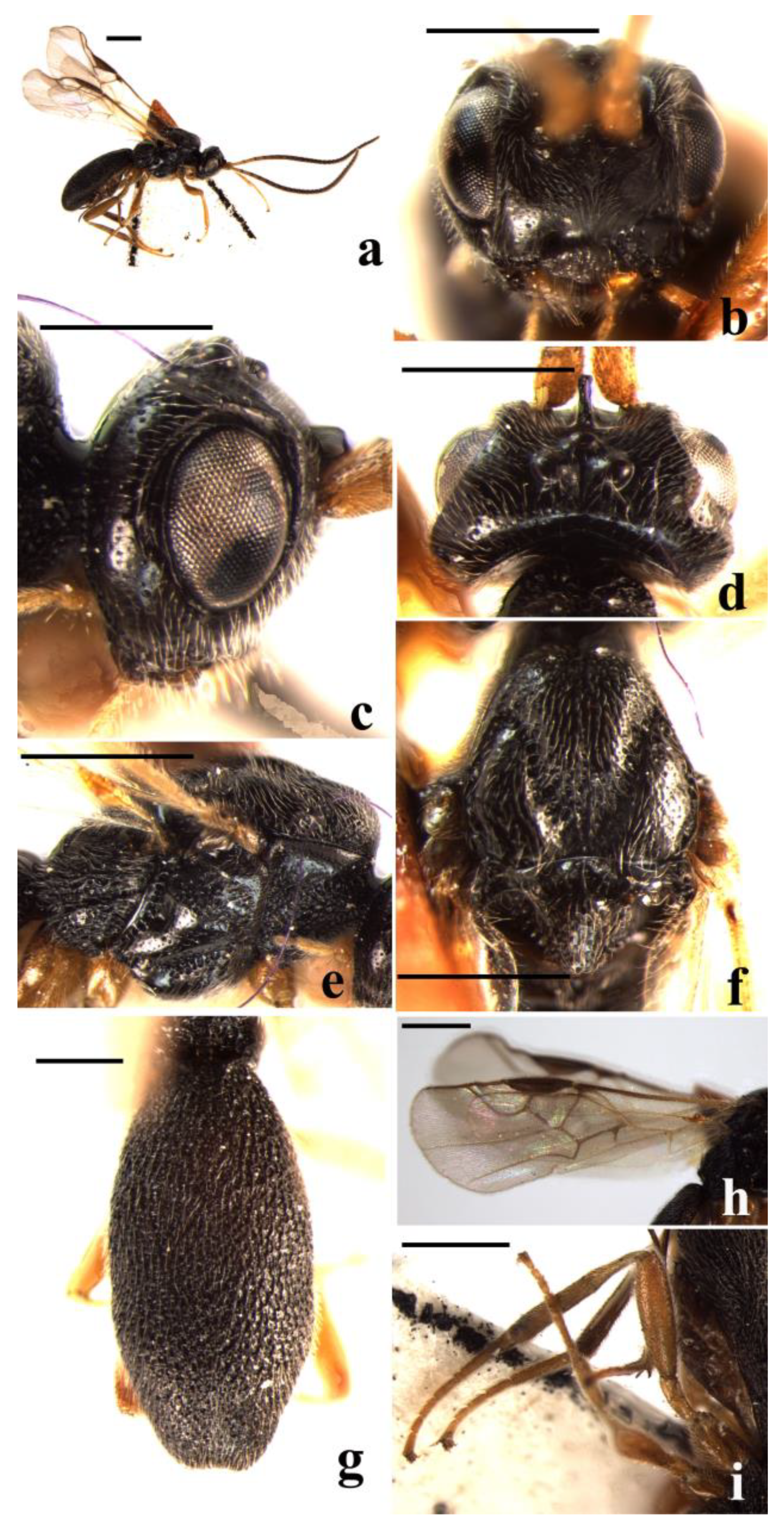 Insects 14 00036 g005