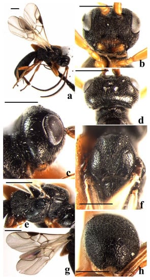 Insects 14 00036 g007