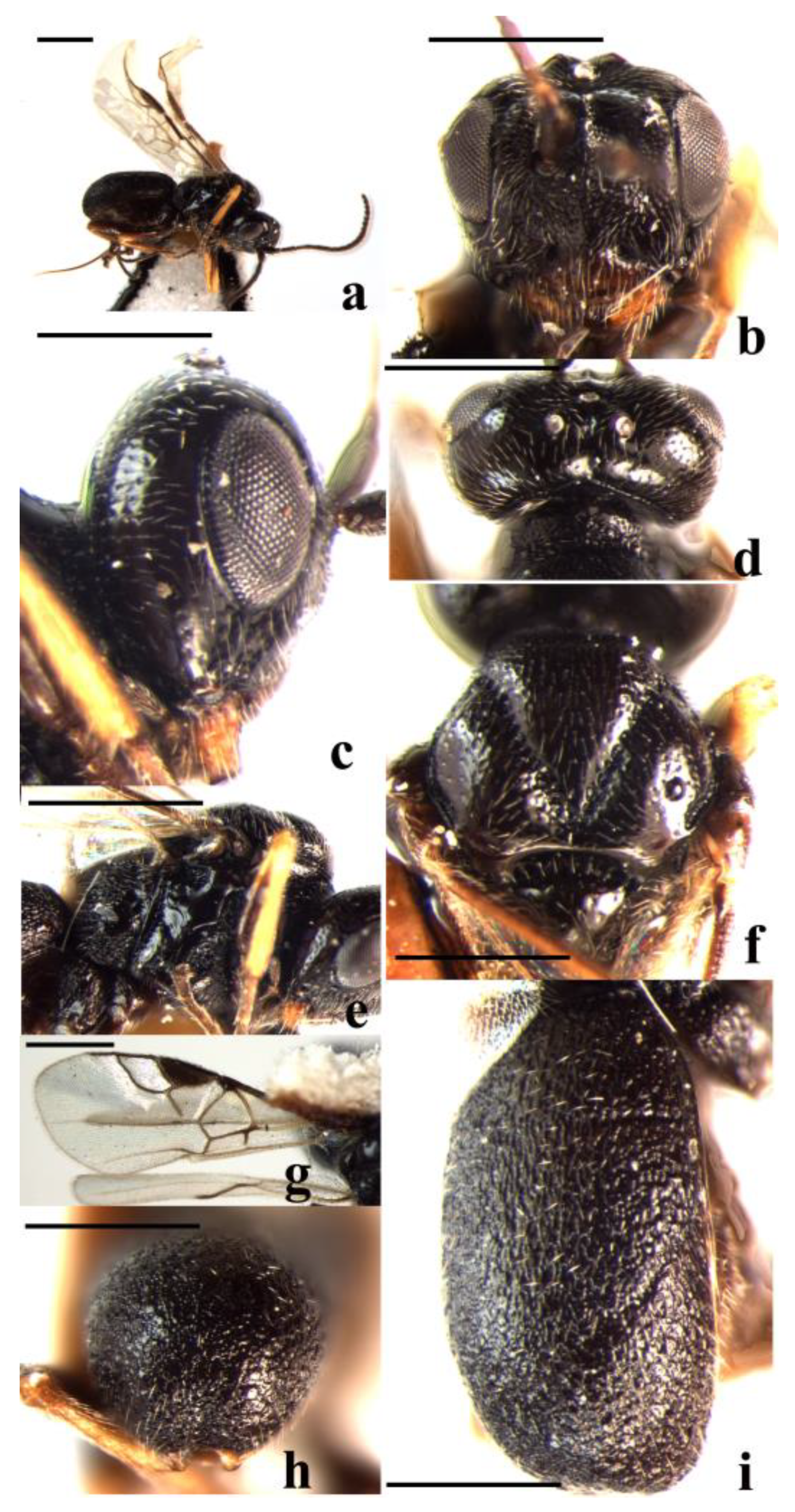 Insects 14 00036 g008