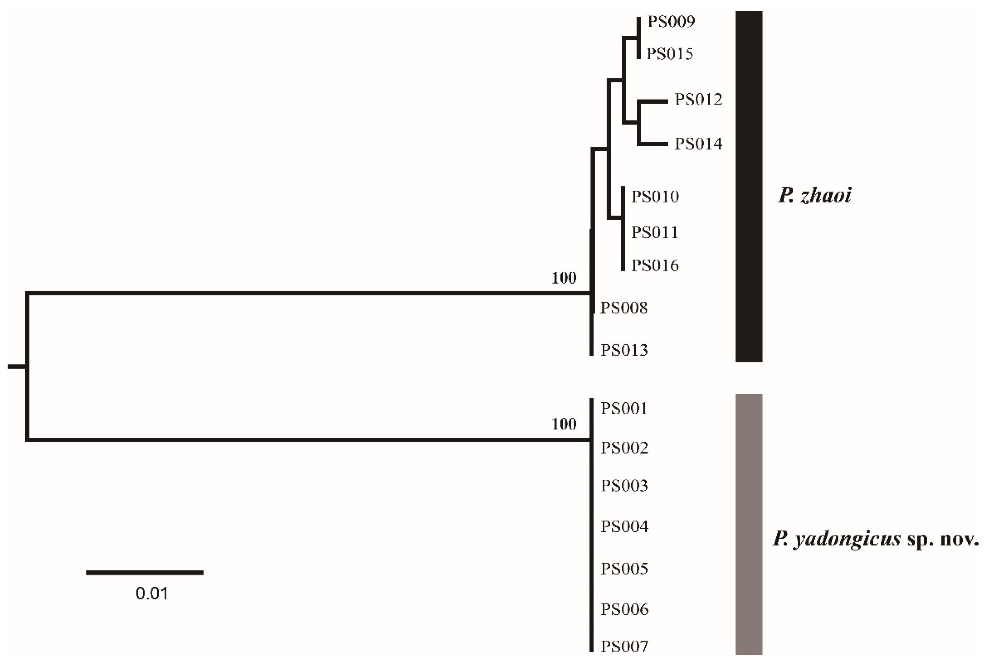 Insects 14 00039 g001