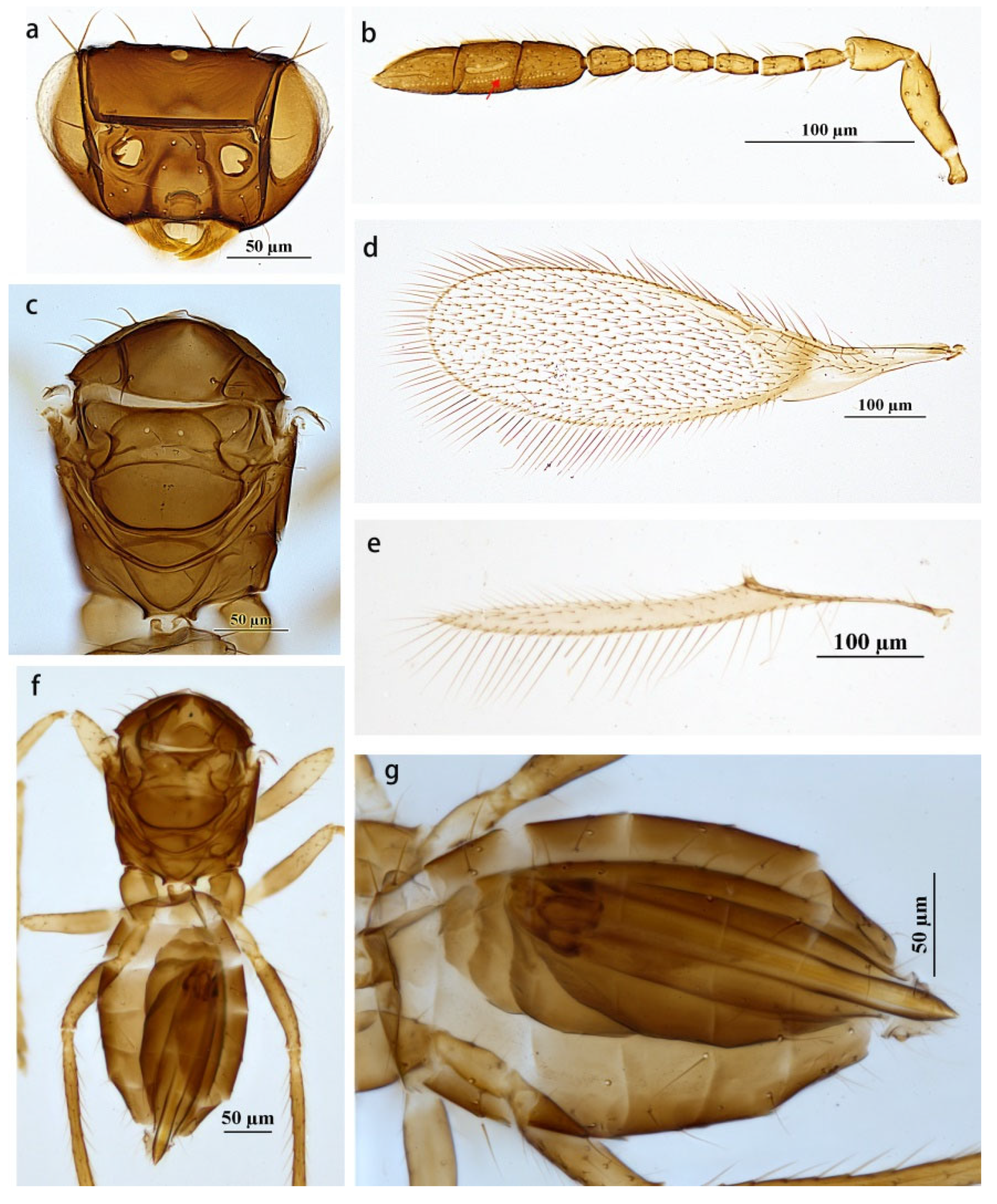 Insects 14 00039 g003