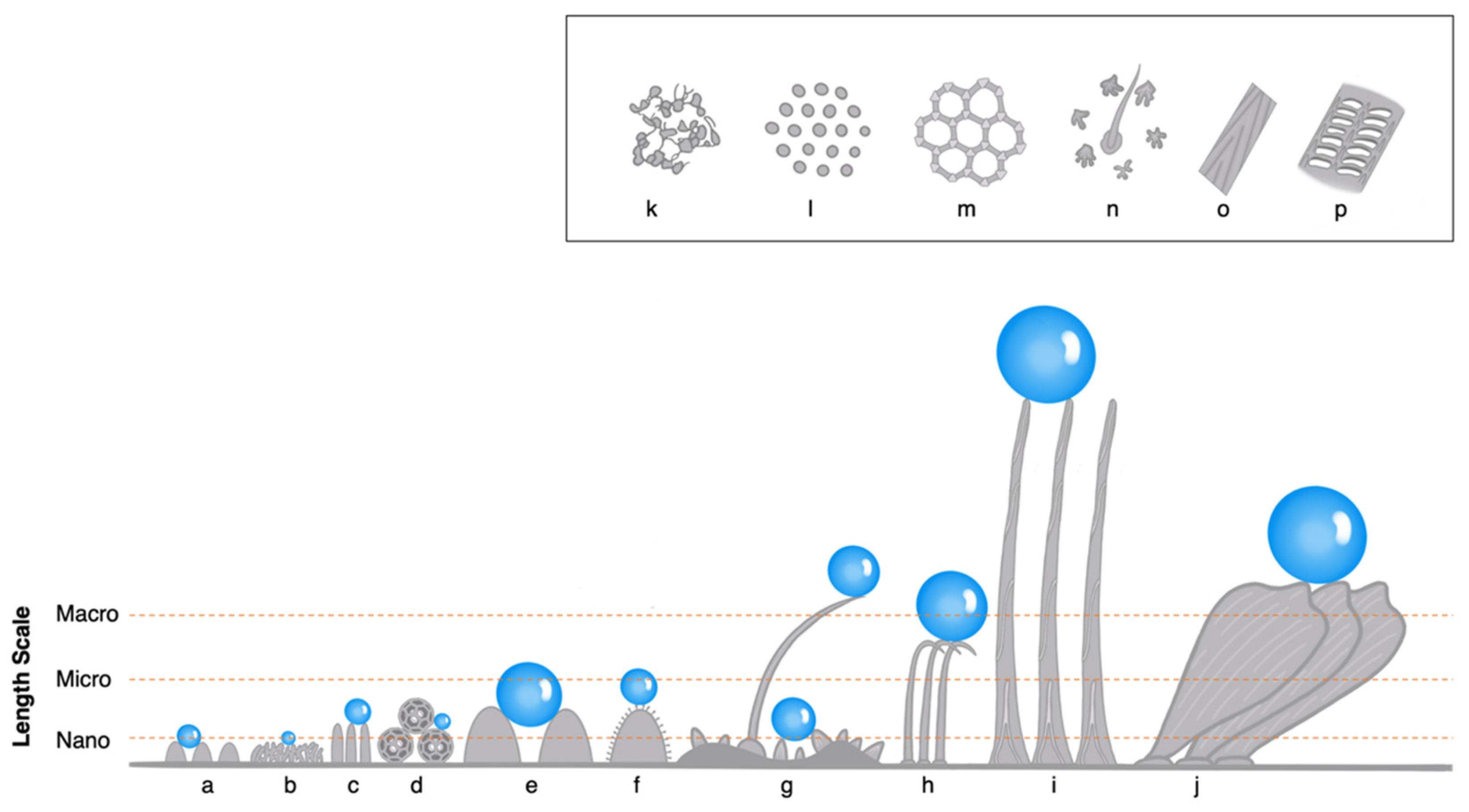 Insects 14 00042 g003