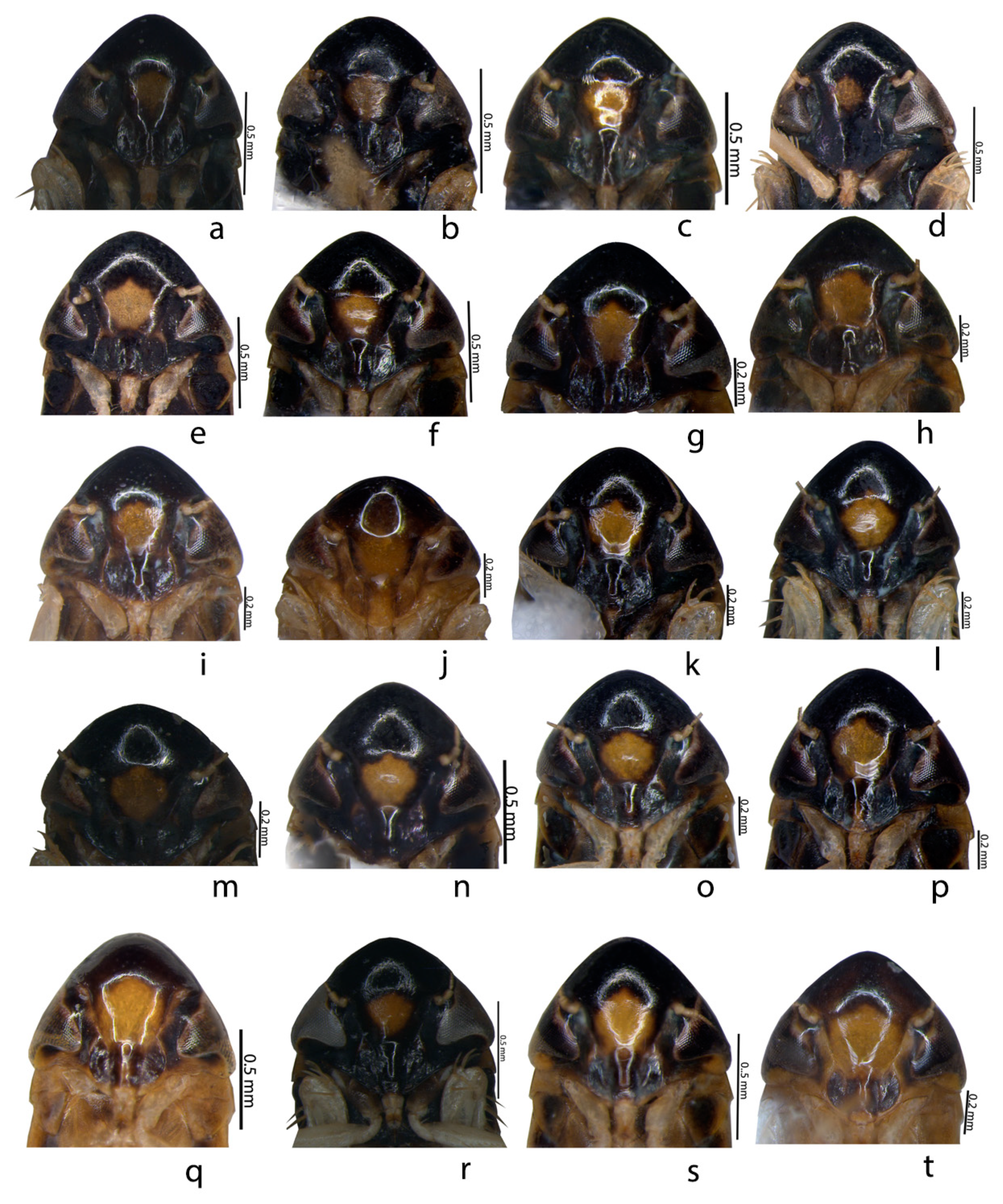 Insects 14 00044 g003