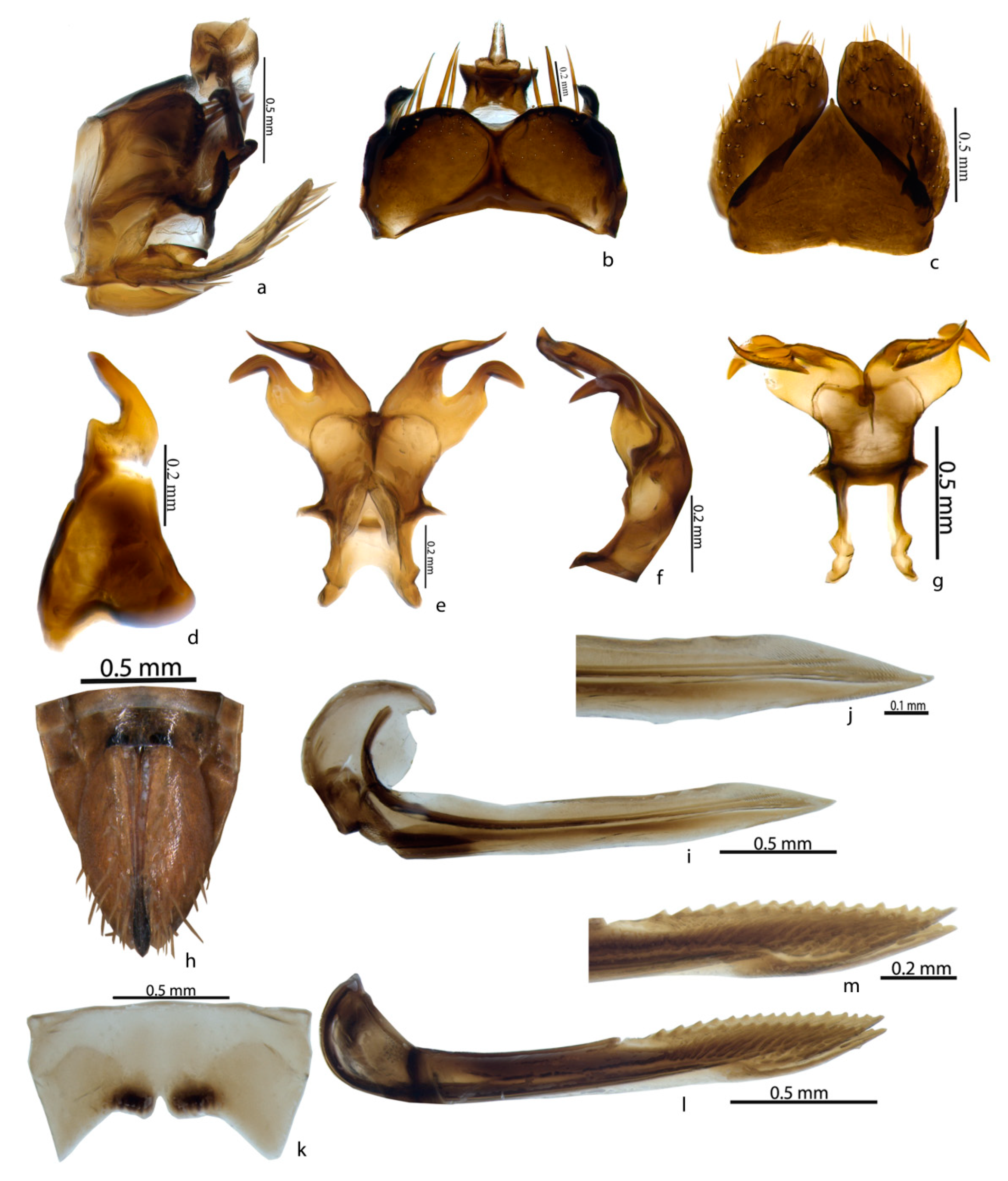 Insects 14 00044 g004