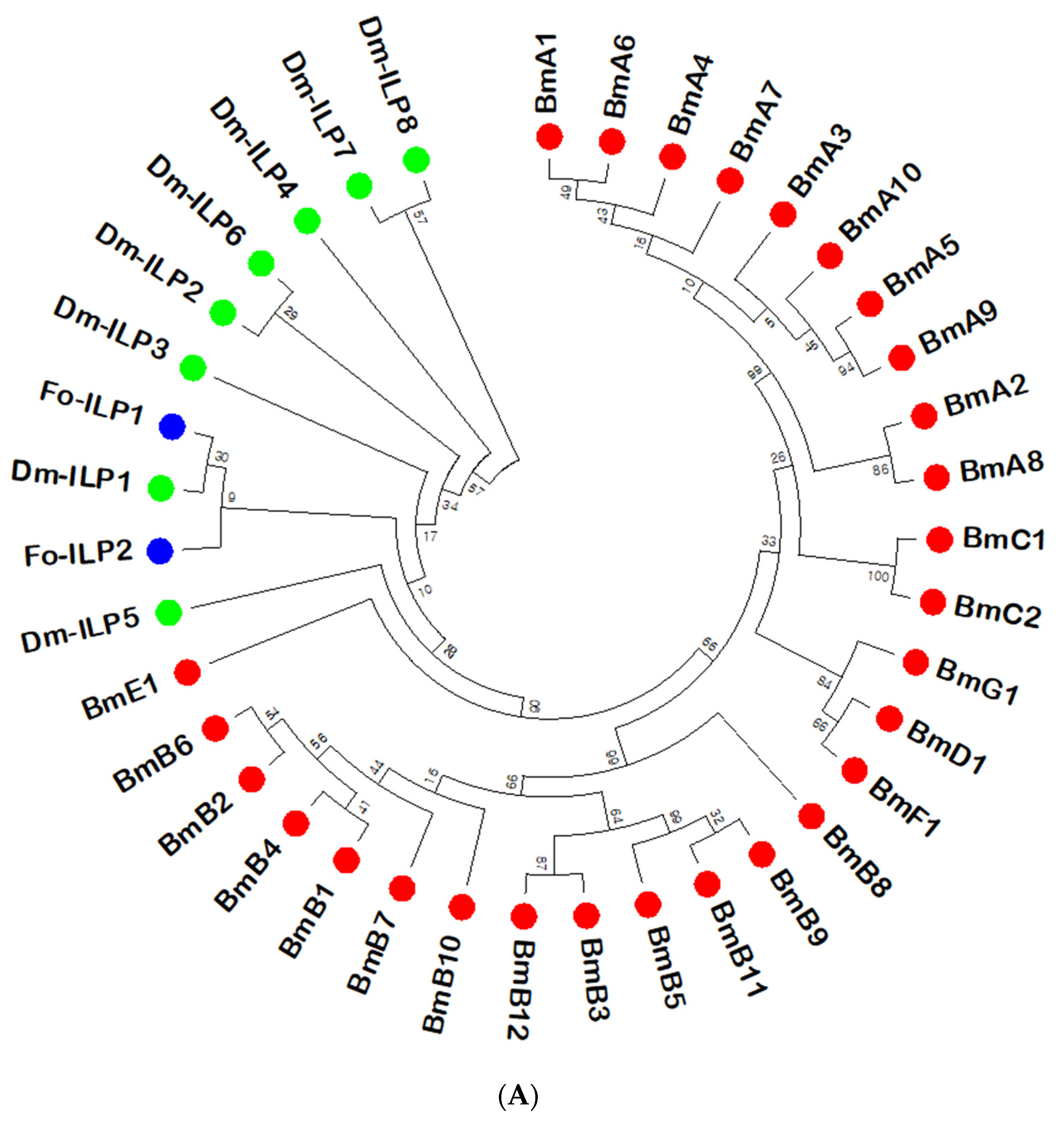 Insects 14 00047 g001a