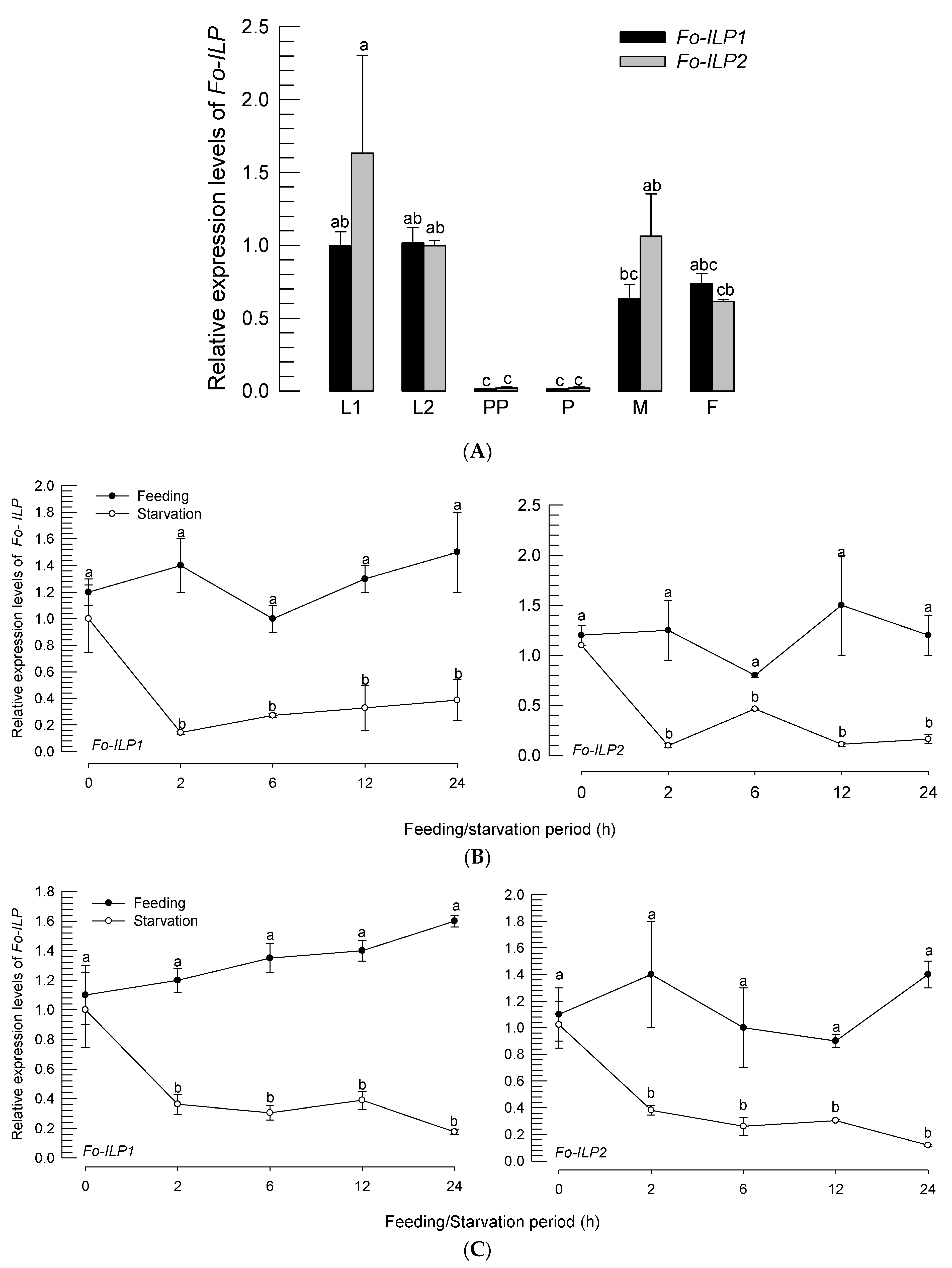 Insects 14 00047 g002