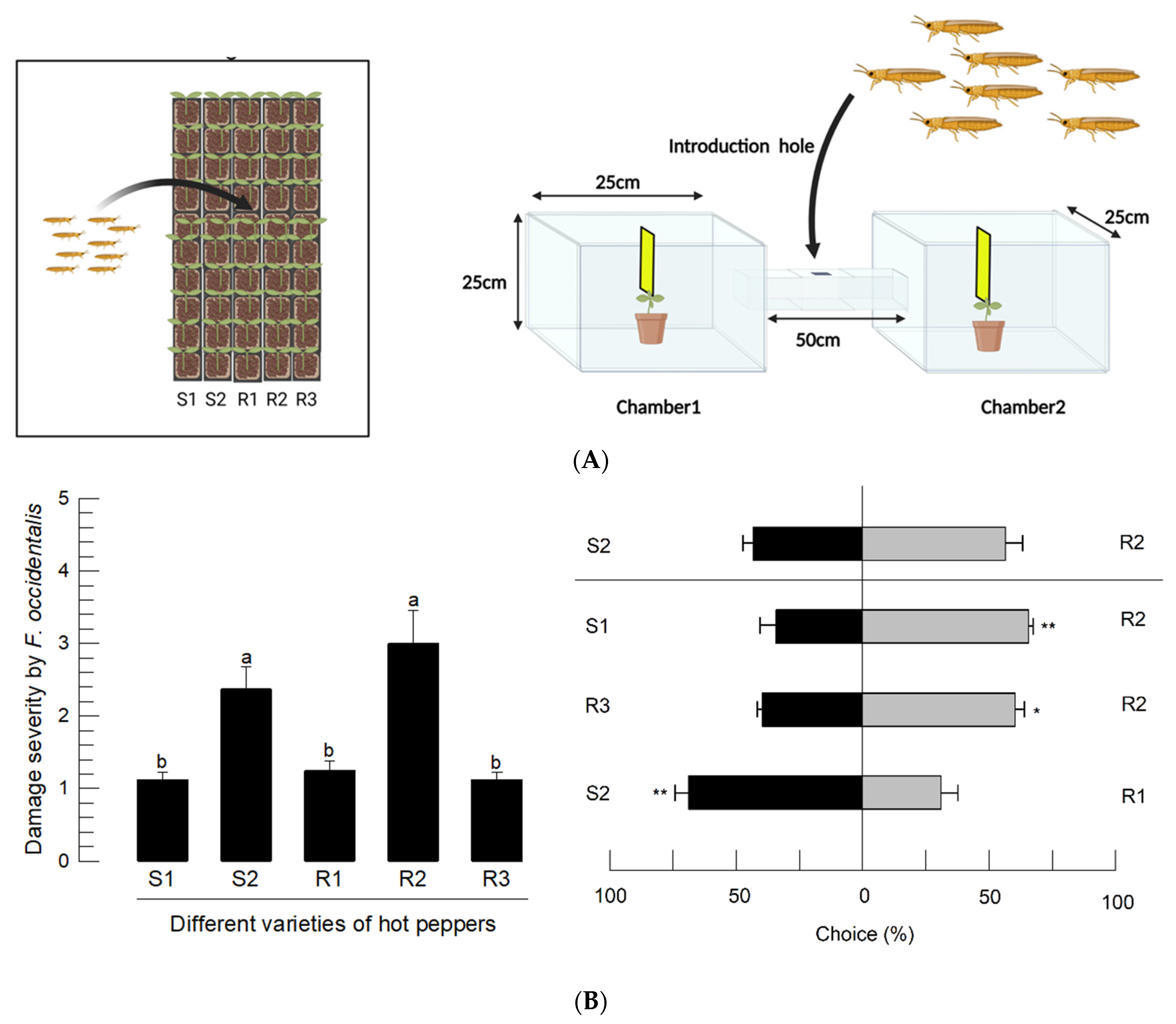 Insects 14 00047 g004