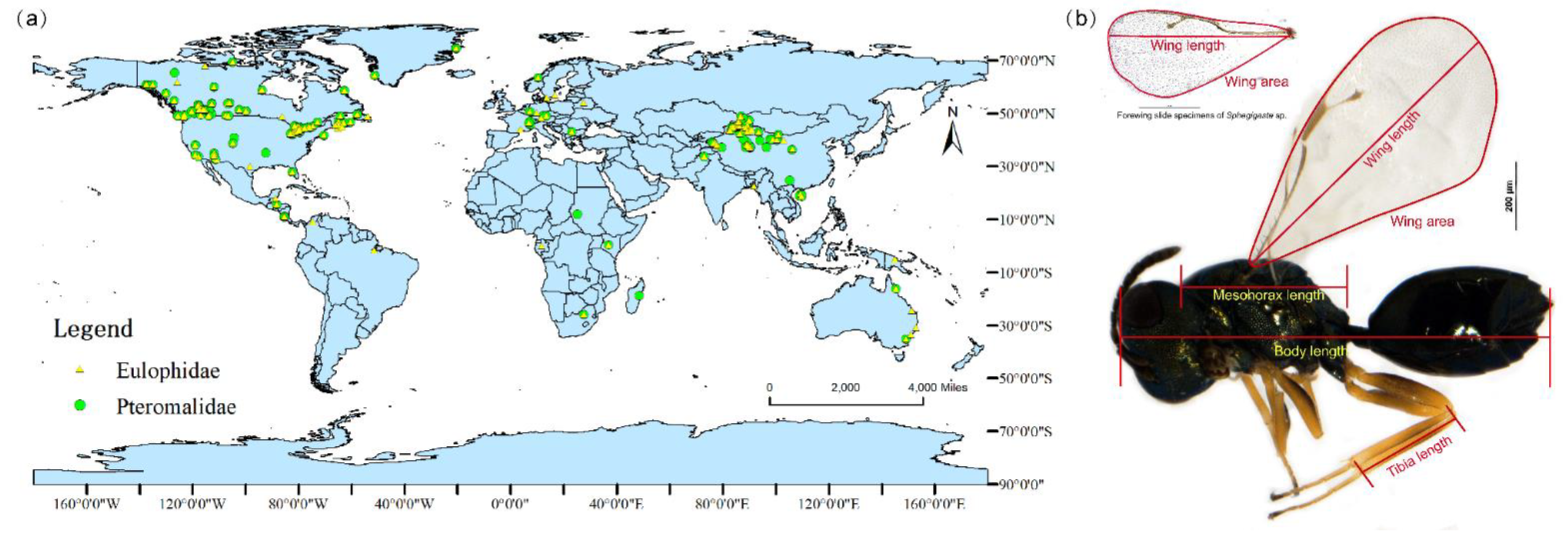 Insects 14 00067 g001 Insects 14 00067 g001