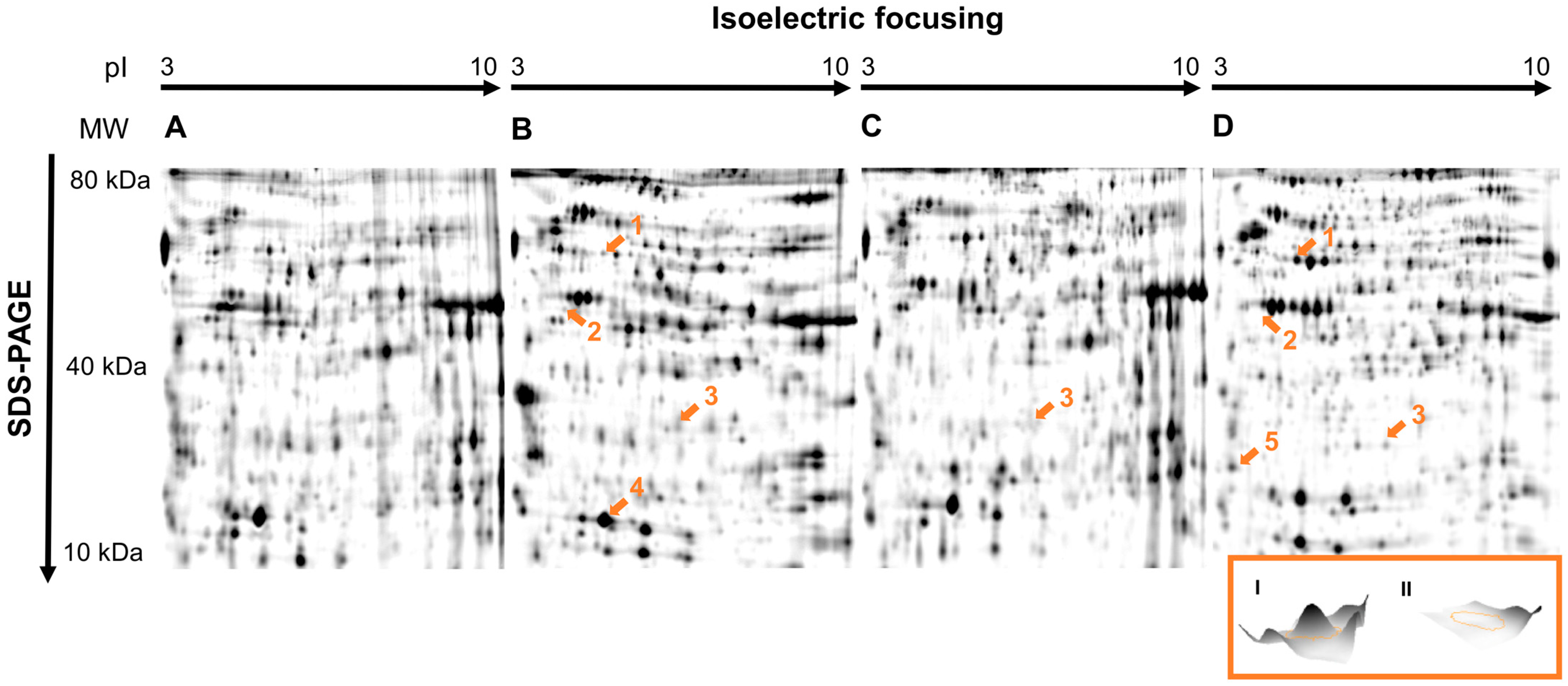 Insects 14 00077 g001