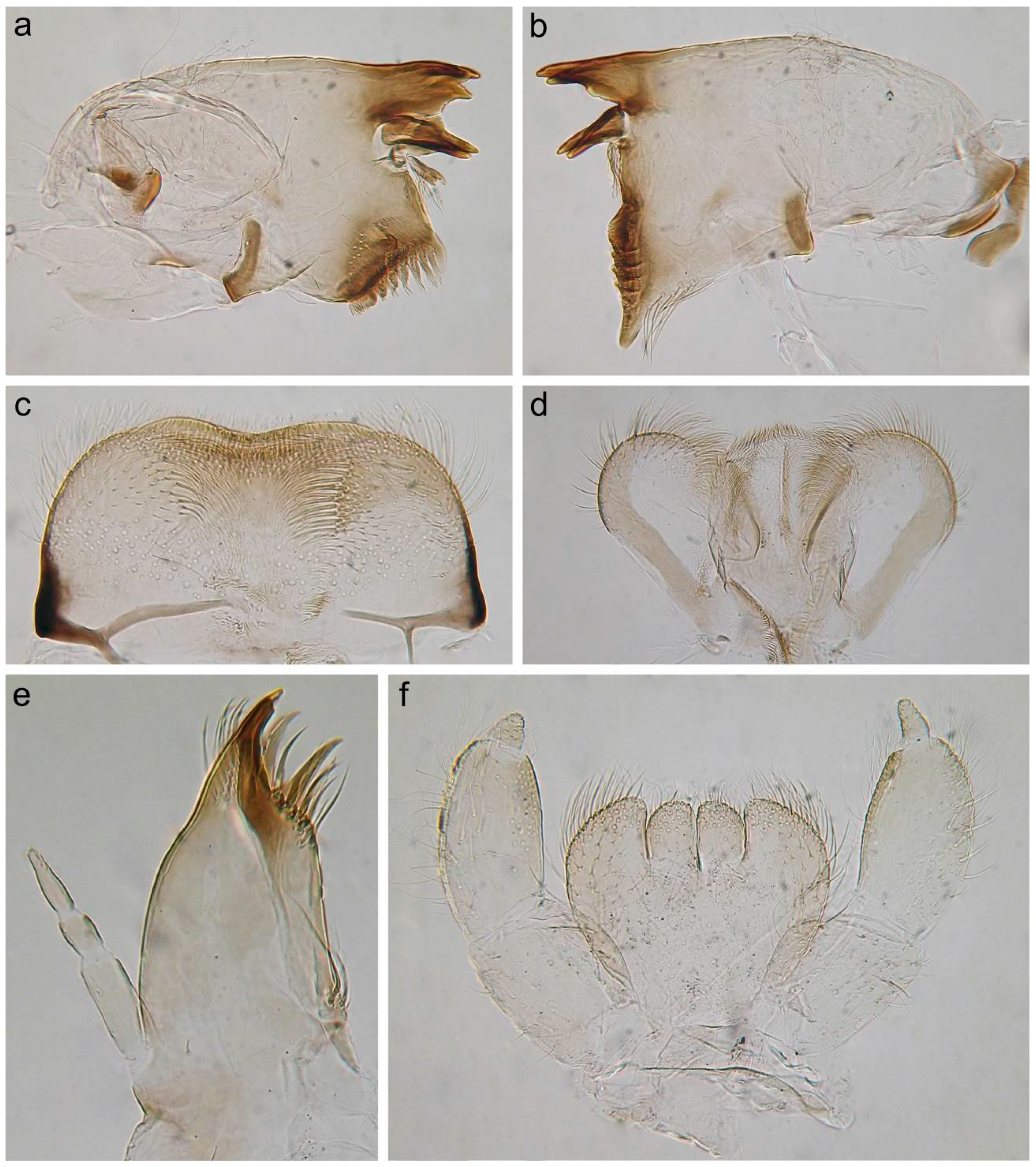 Insects 14 00087 g002