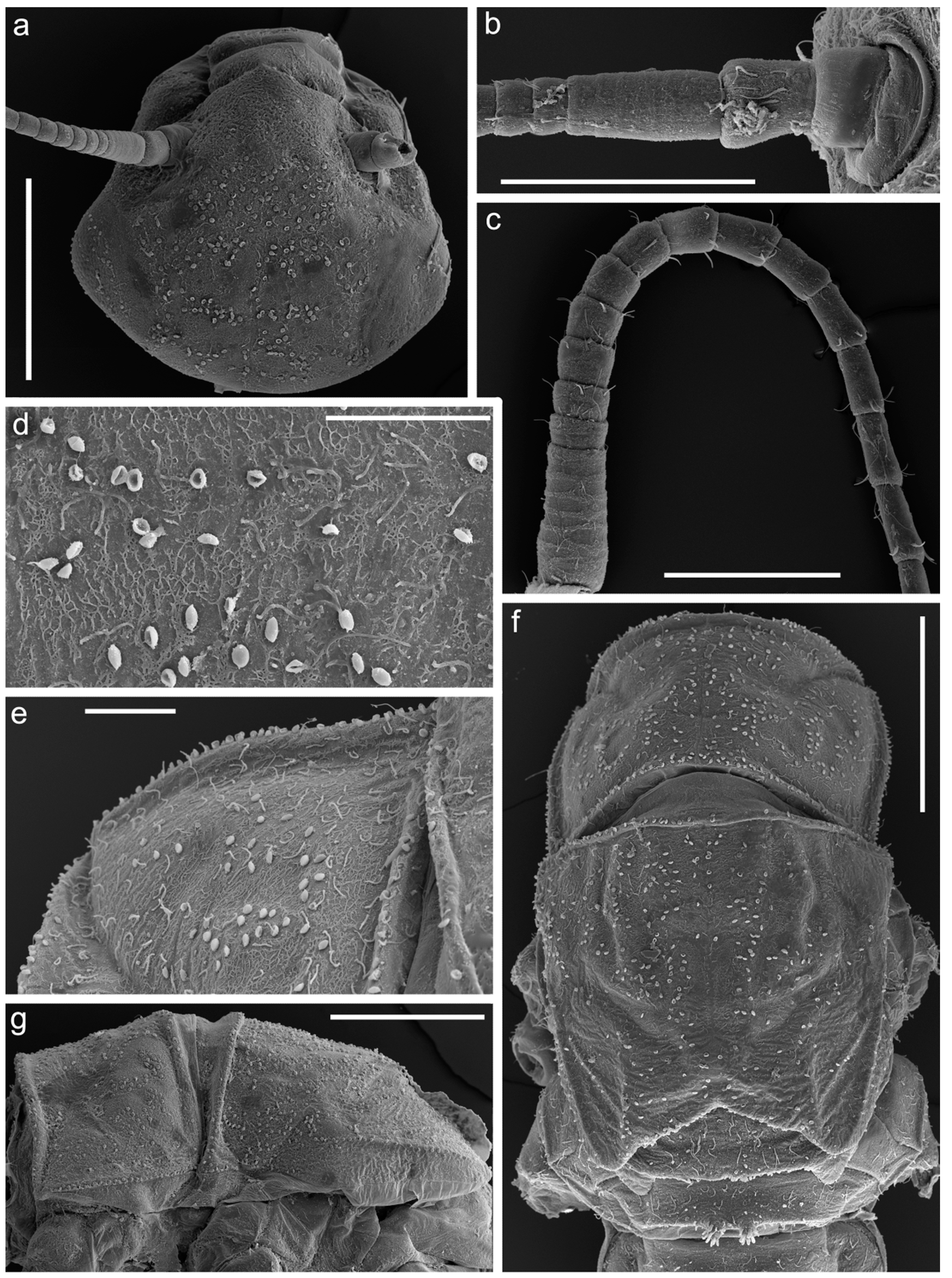 Insects 14 00087 g003