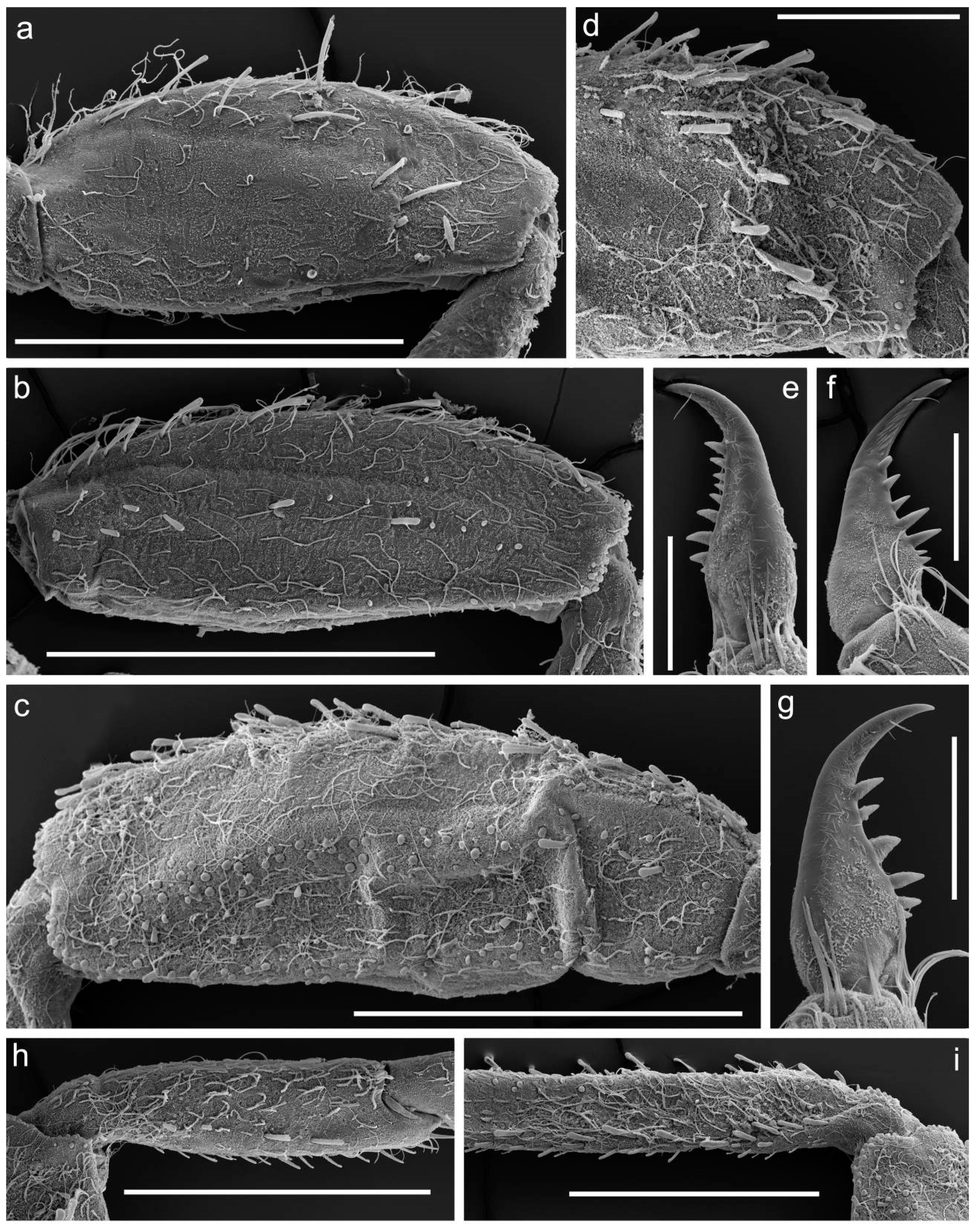 Insects 14 00087 g004