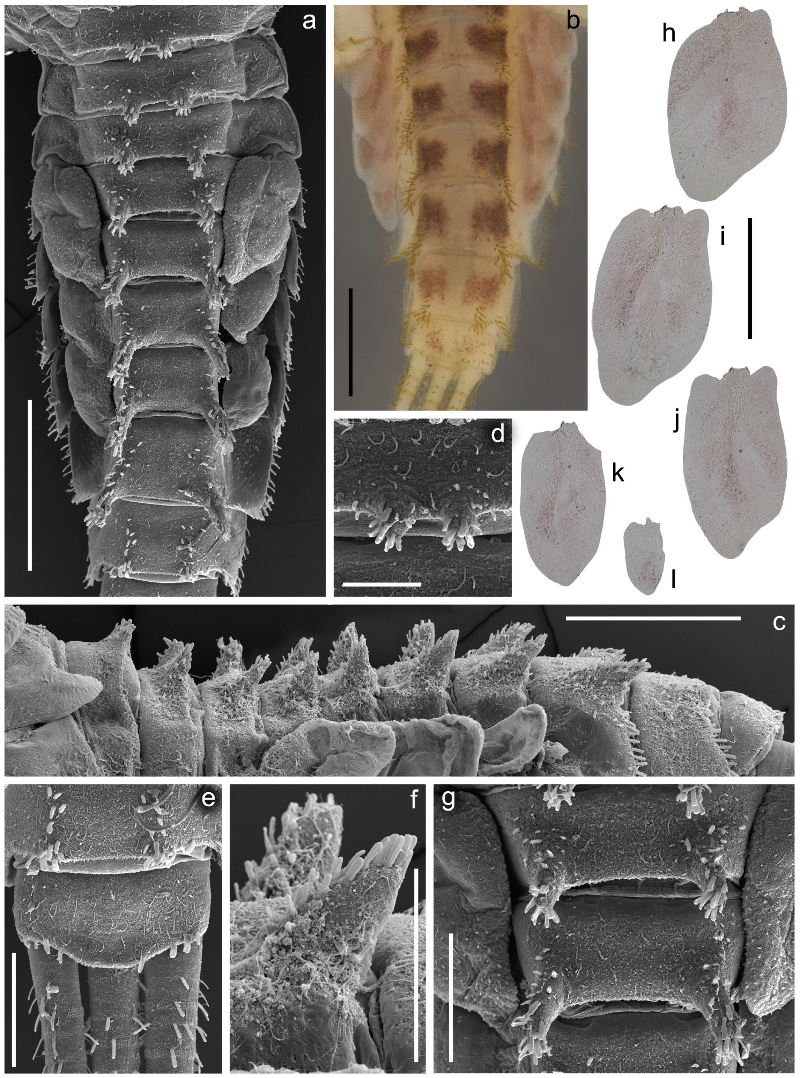 Insects 14 00087 g005