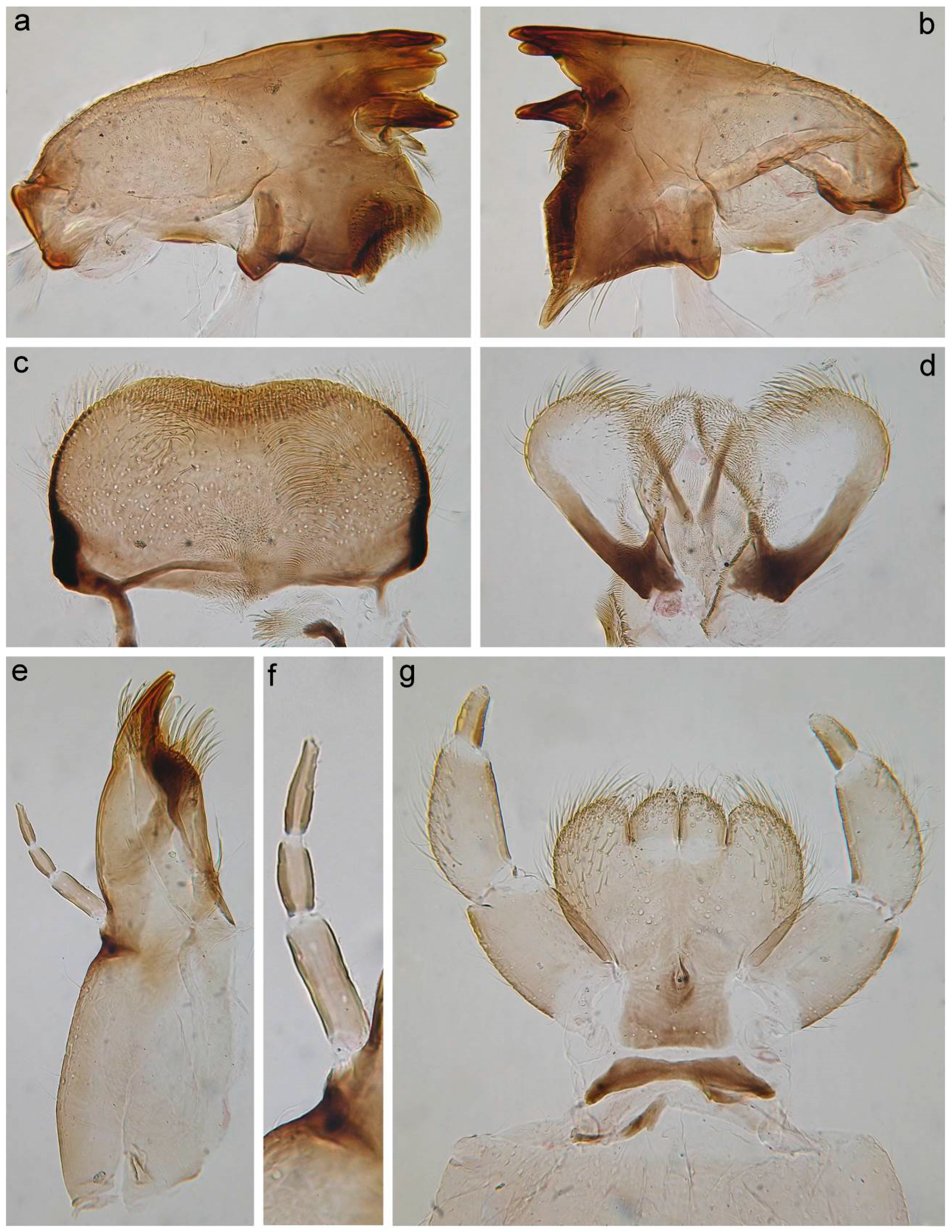 Insects 14 00087 g007