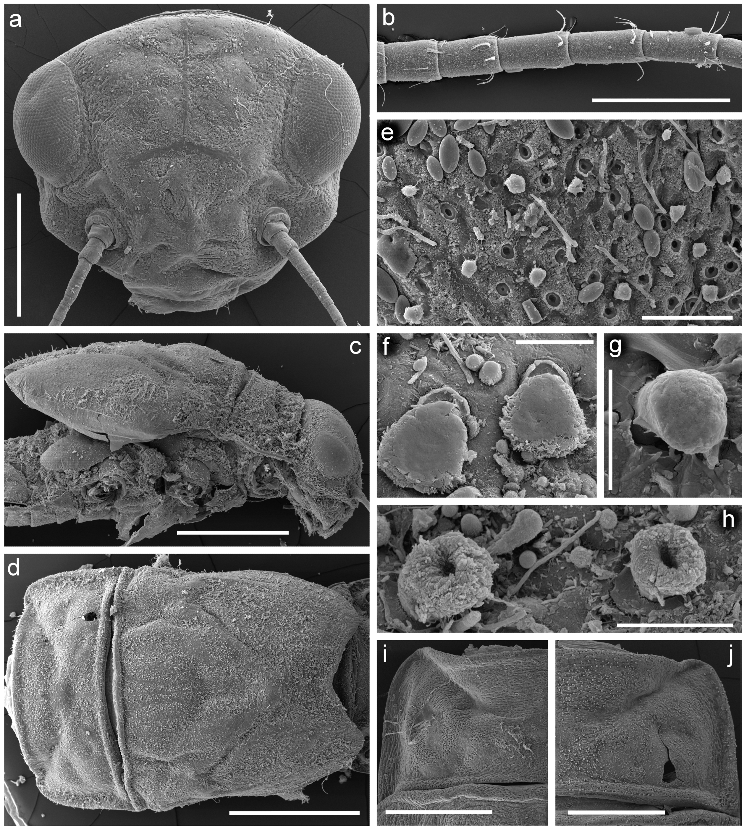 Insects 14 00087 g008