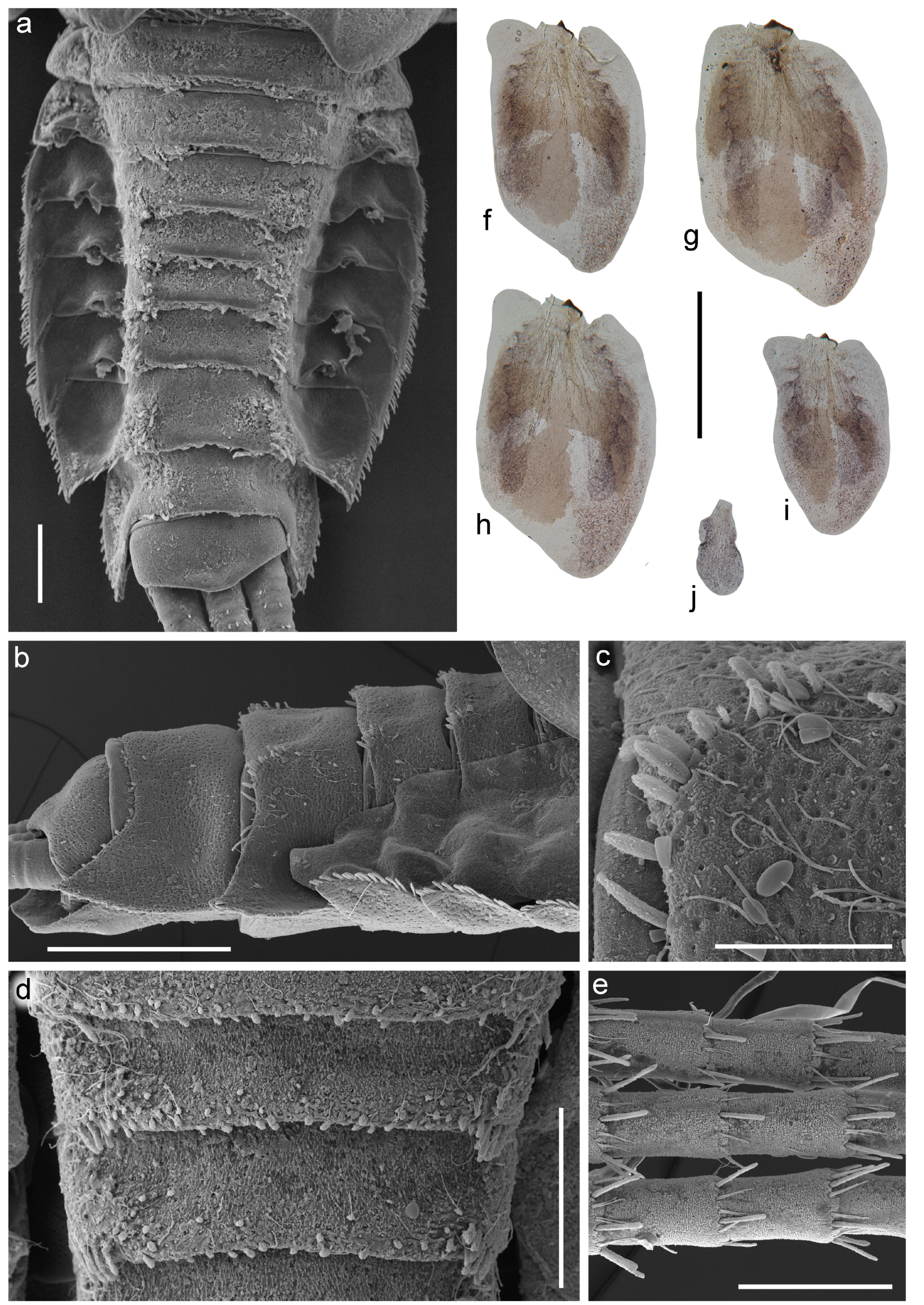 Insects 14 00087 g010