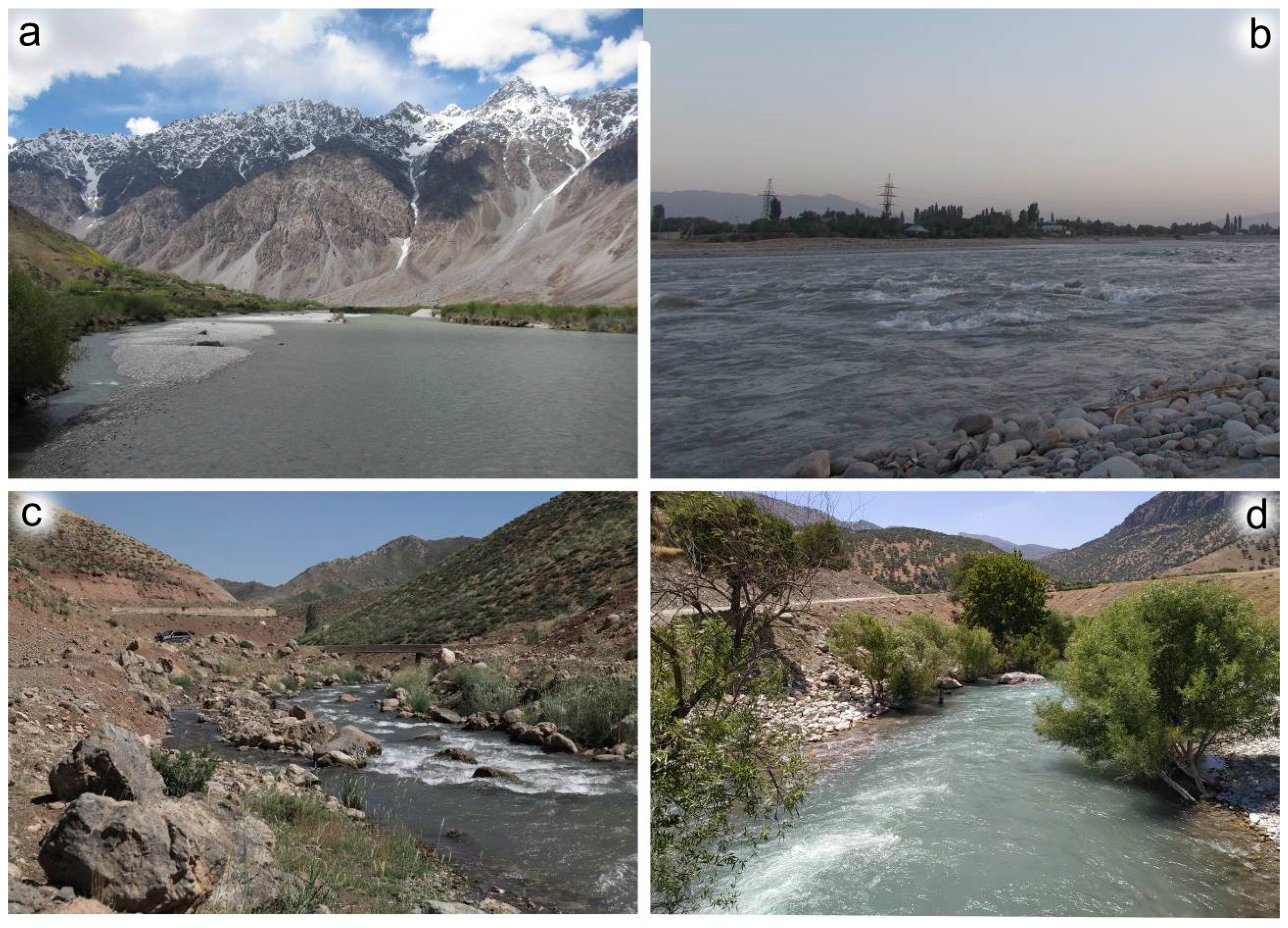 Insects 14 00087 g011