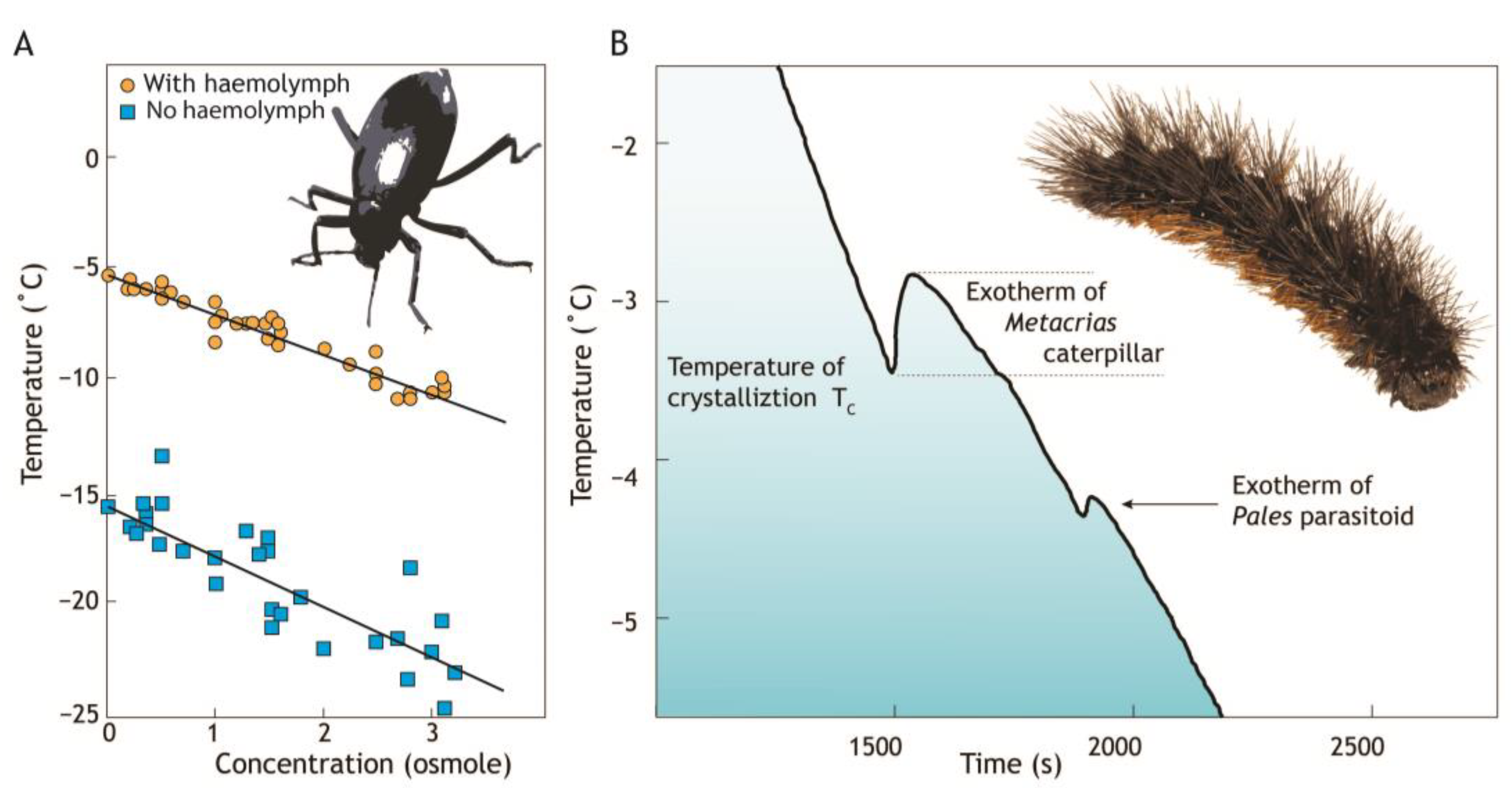 Insects 14 00089 g002