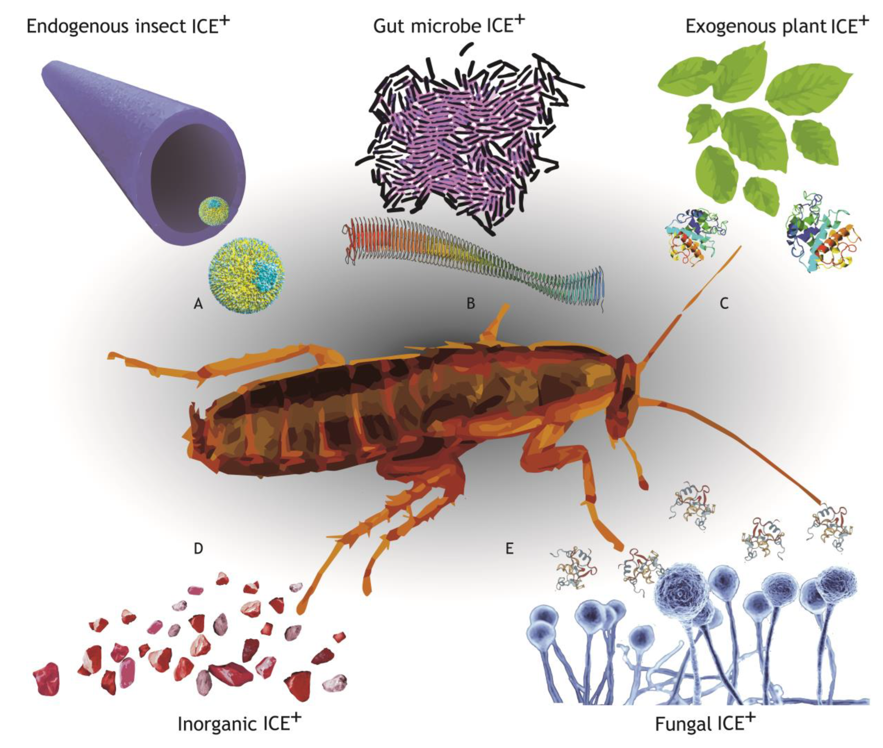 Insects 14 00089 g003