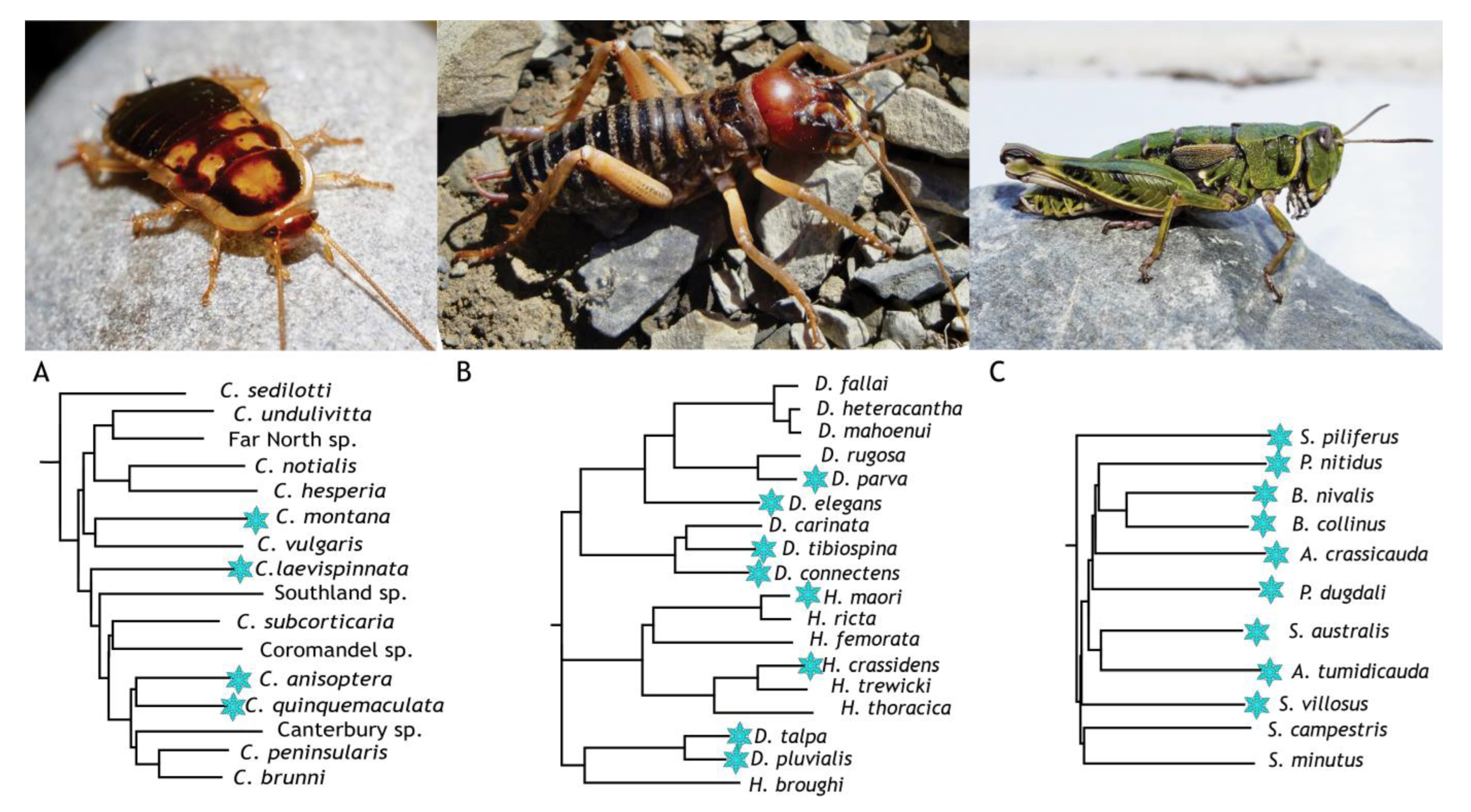 Insects 14 00089 g005