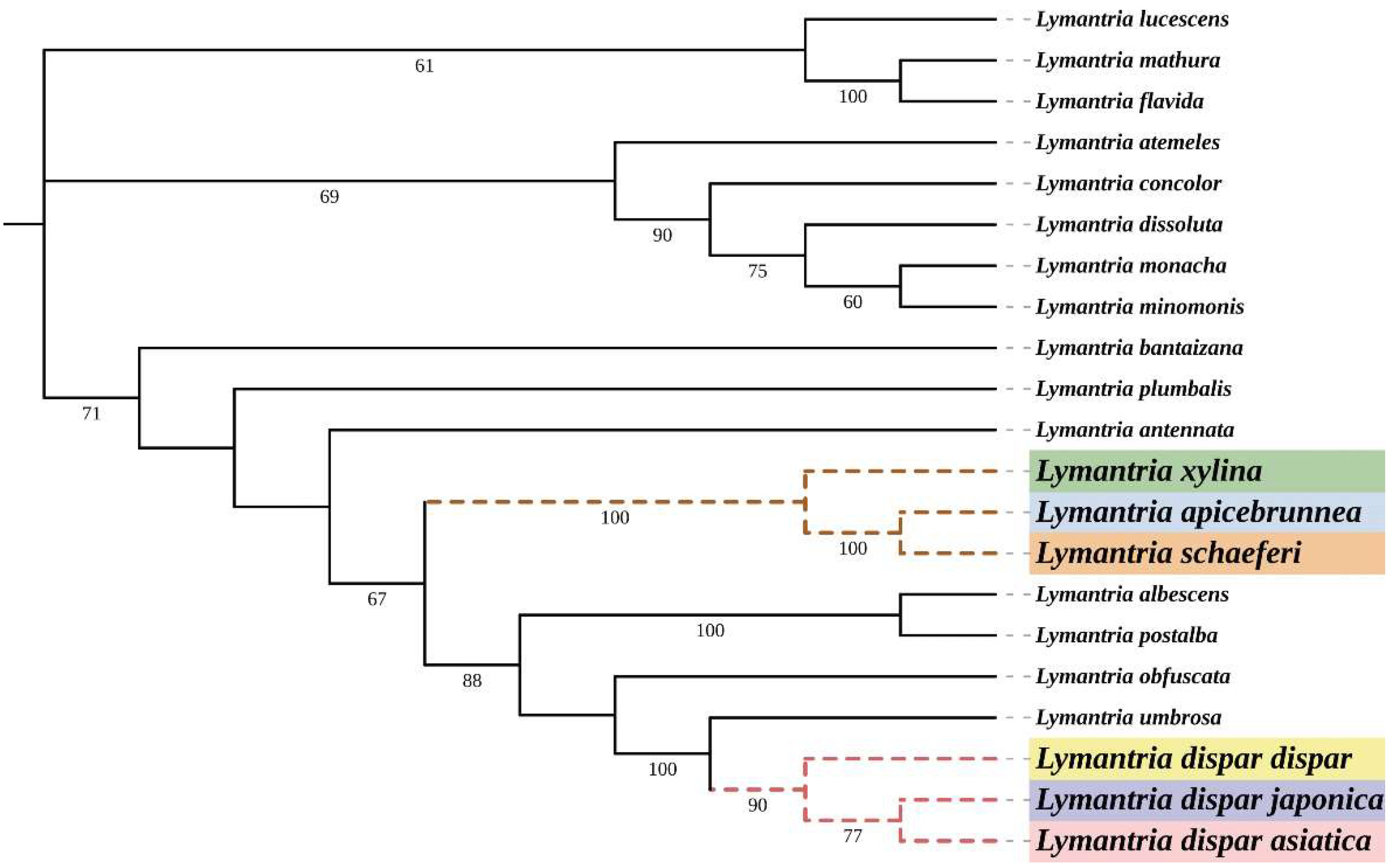 Insects 14 00094 g004