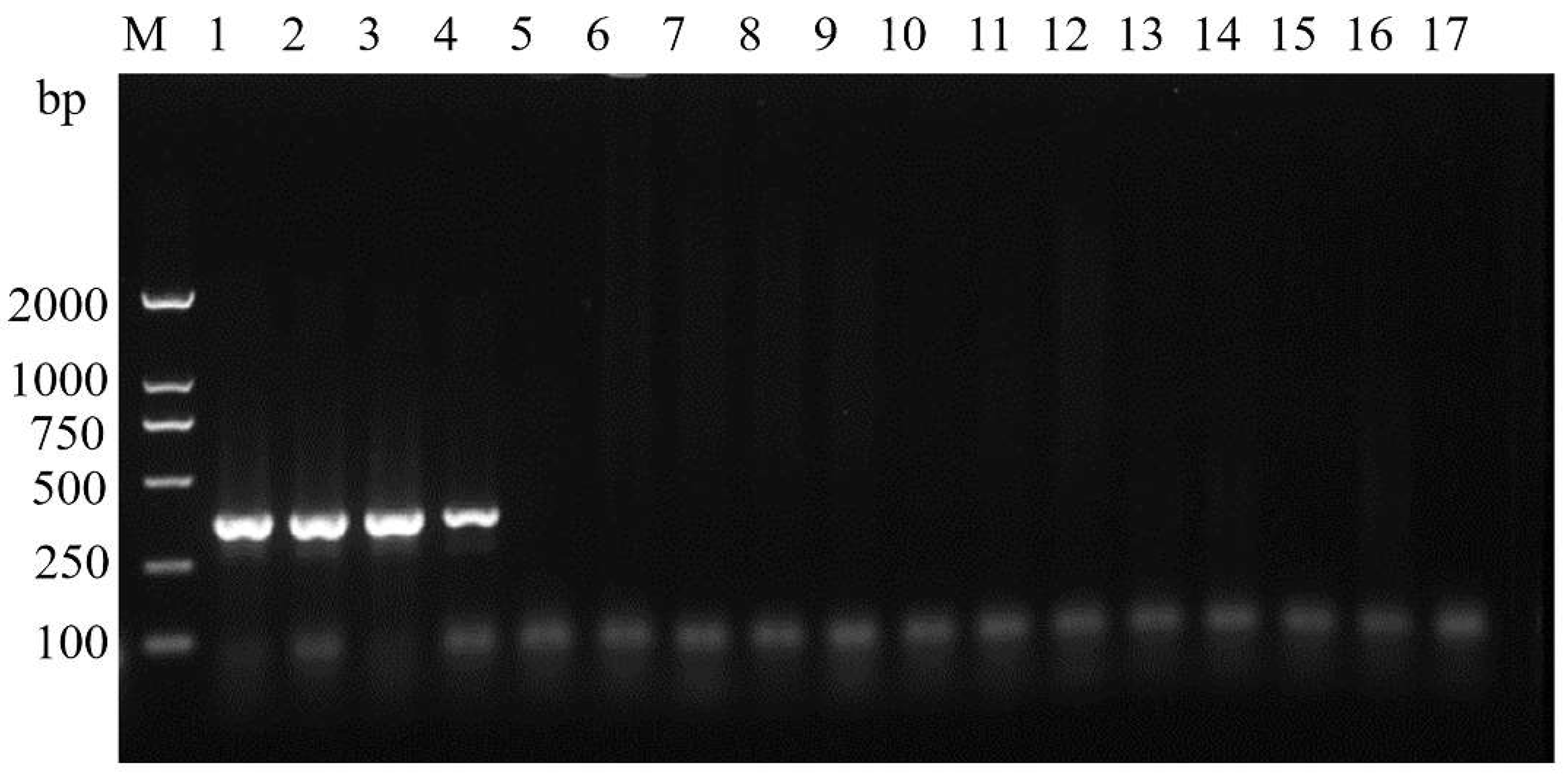 Insects 14 00094 g006