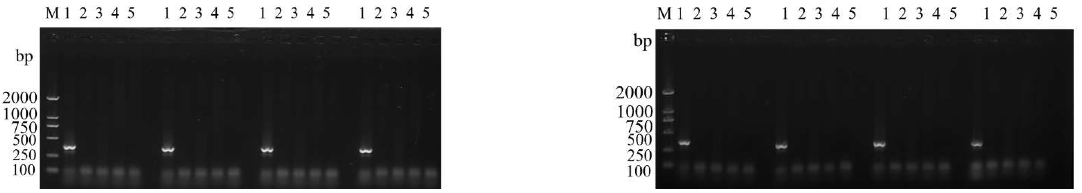 Insects 14 00094 g007