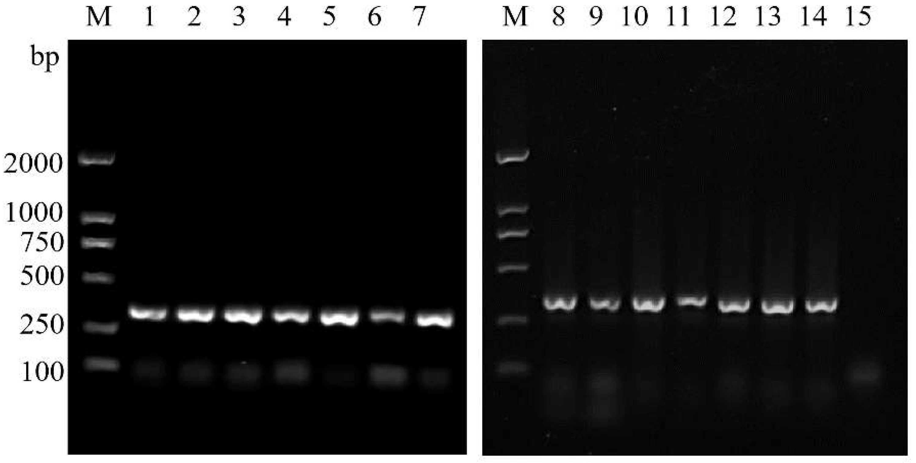 Insects 14 00094 g008