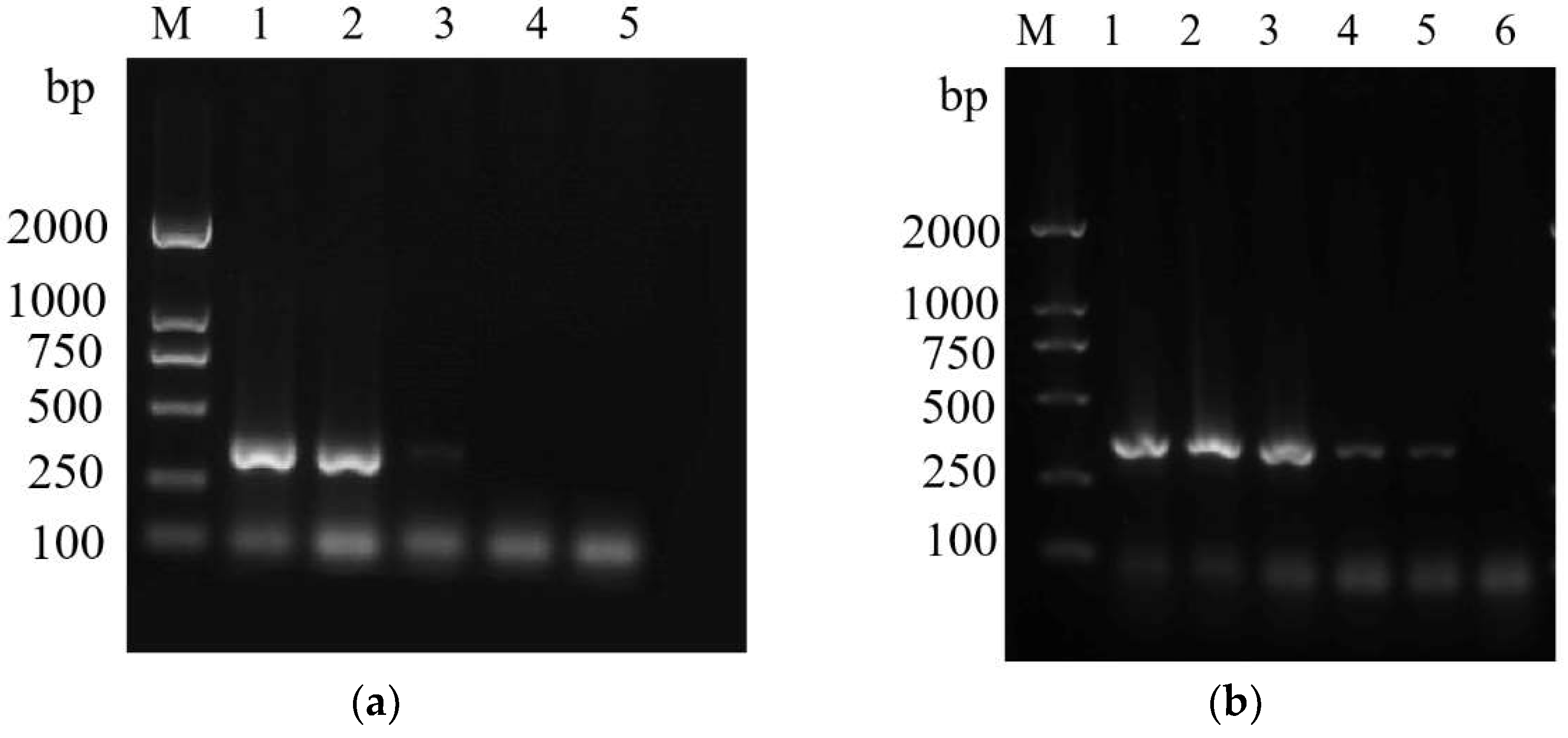 Insects 14 00094 g010