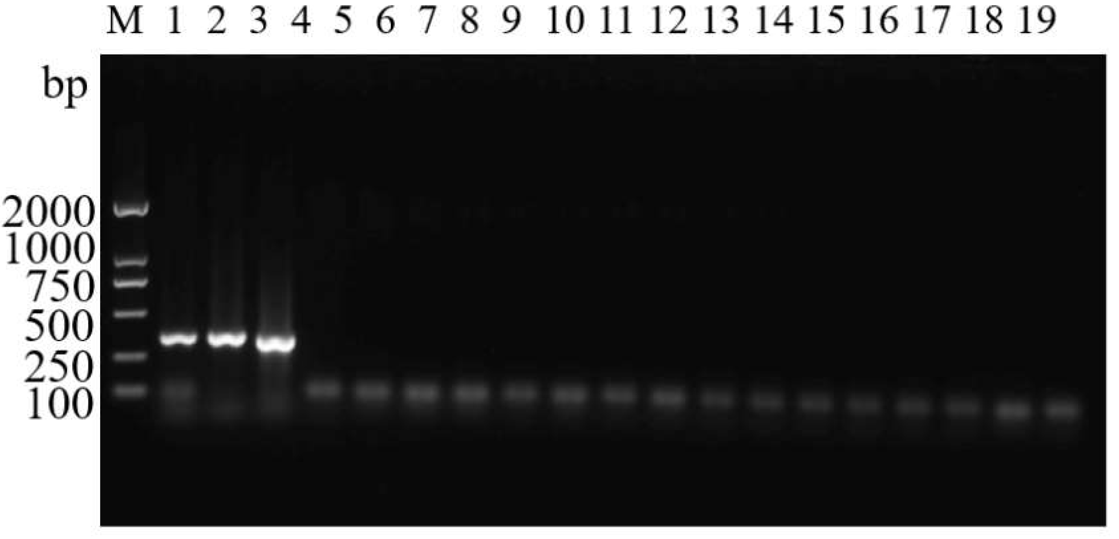 Insects 14 00094 g011