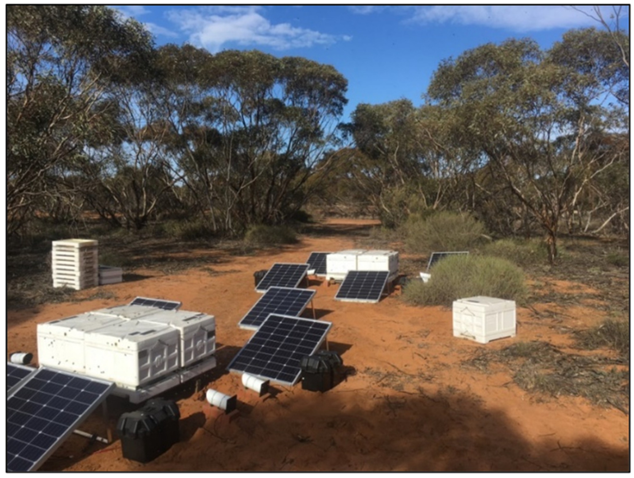 Insects 14 00095 g001