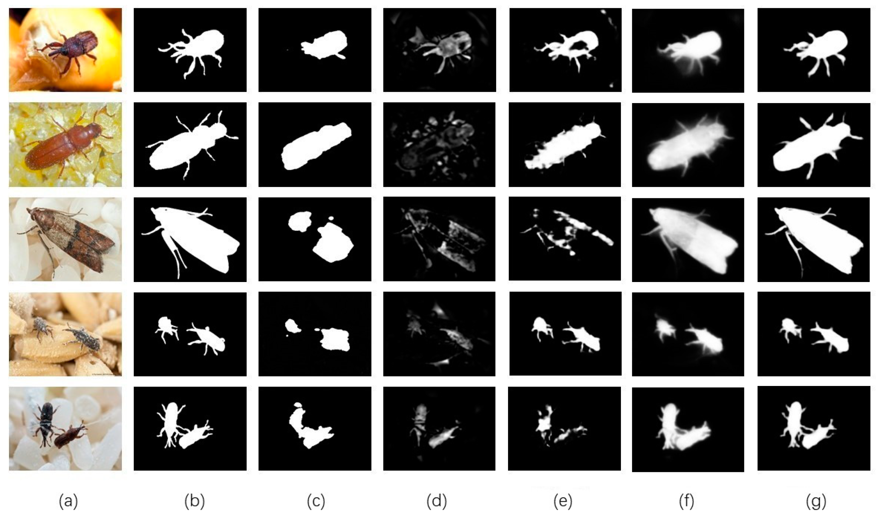 Insects 14 00099 g005