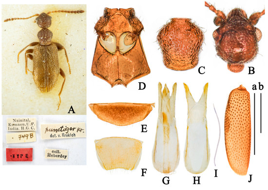 Insects 14 00102 g002 550