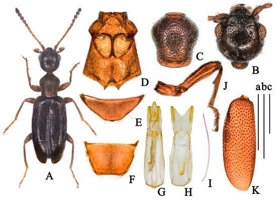 Insects 14 00102 g003 550