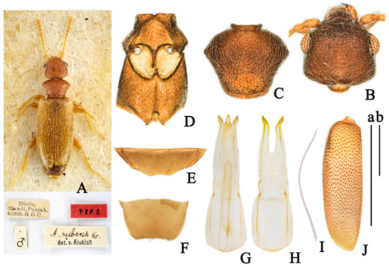 Insects 14 00102 g005 550