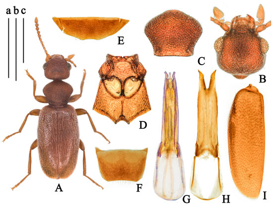 Insects 14 00102 g006 550