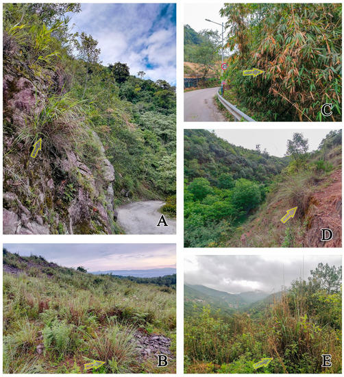 Insects 14 00102 g009 550