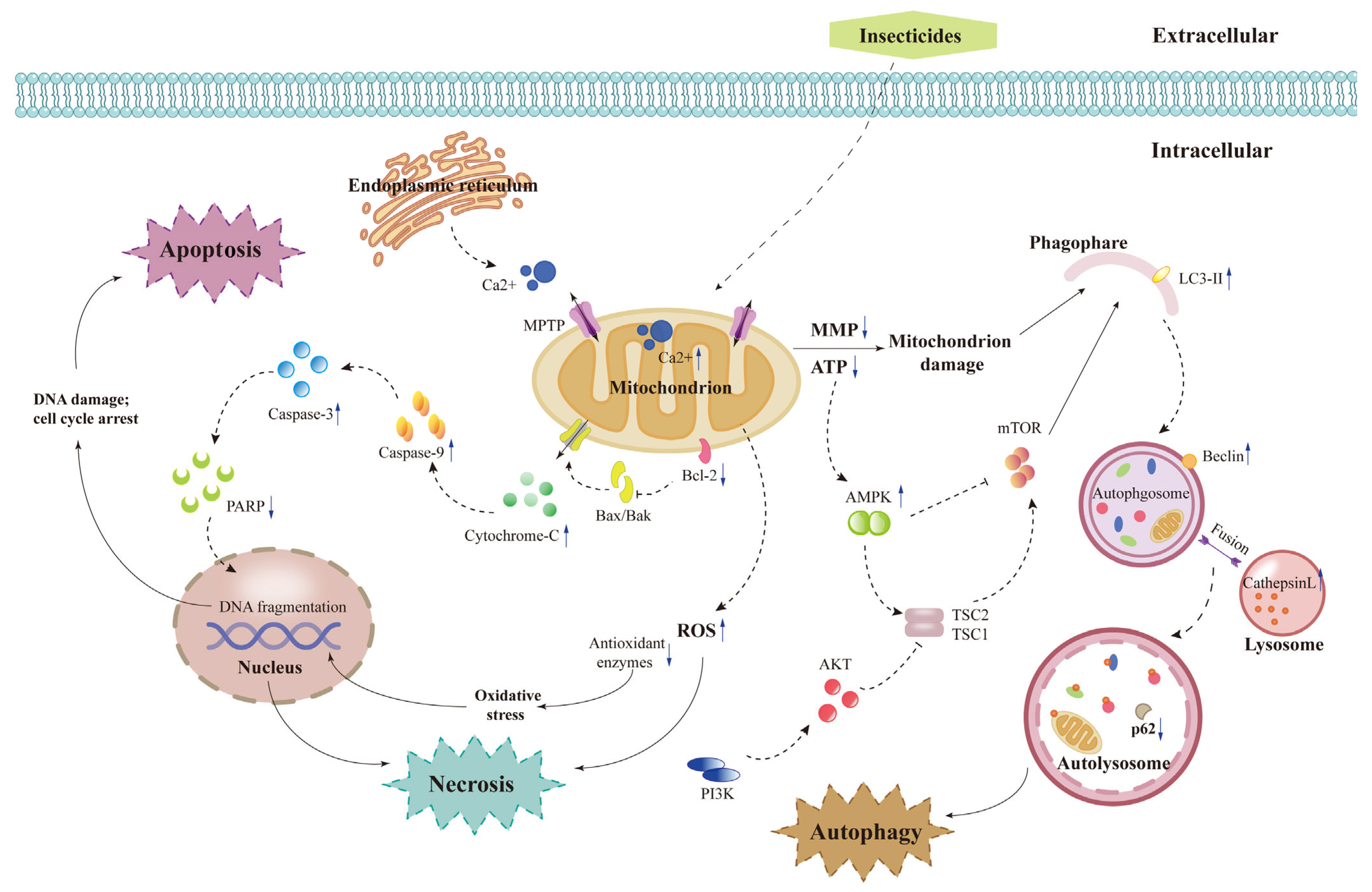 Insects 14 00104 g003