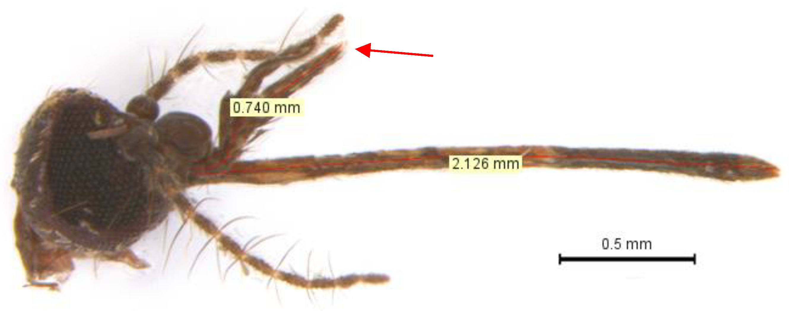 Insects 14 00109 g002 Insects 14 00109 g002