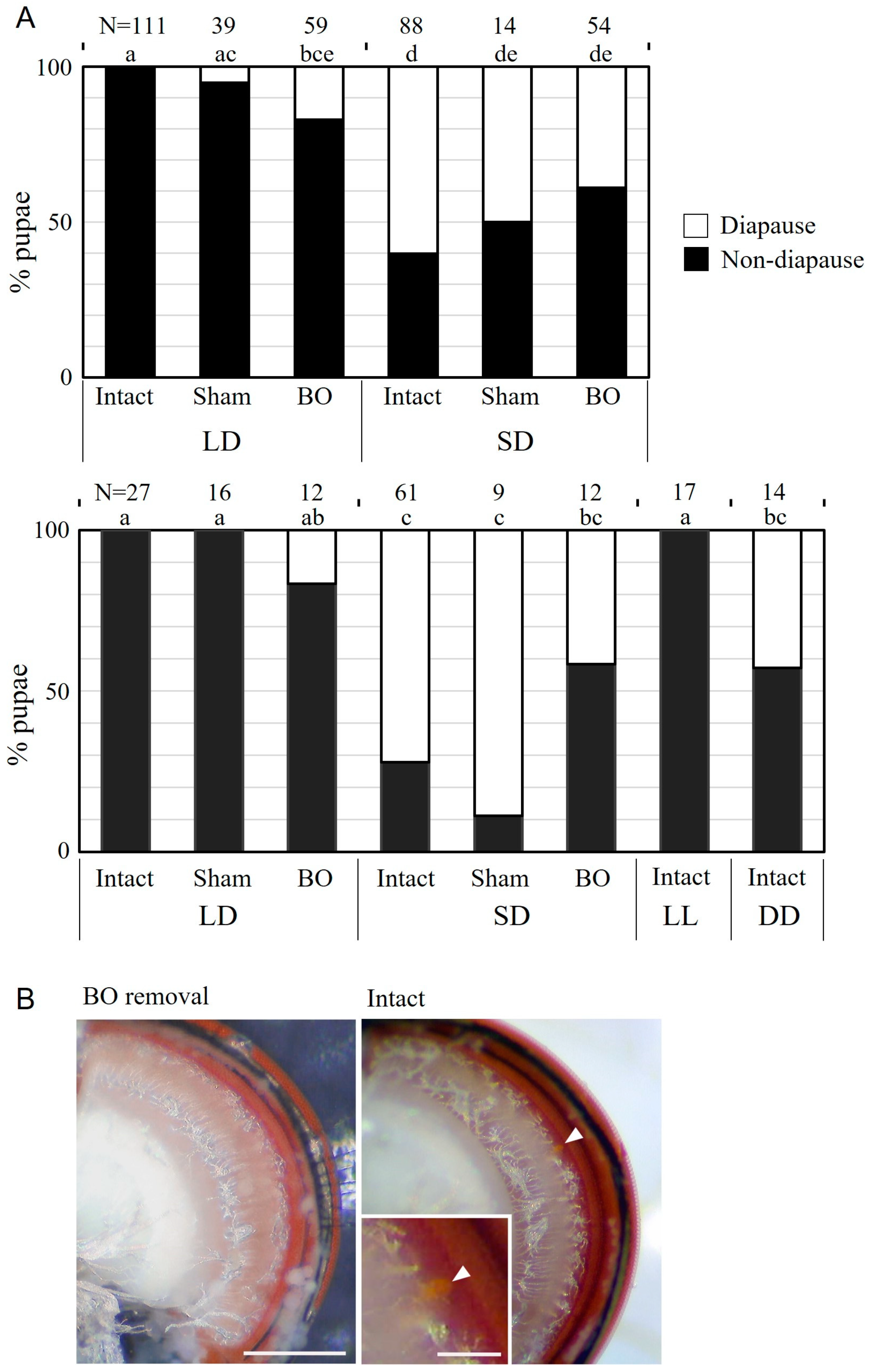 Insects 14 00115 g005