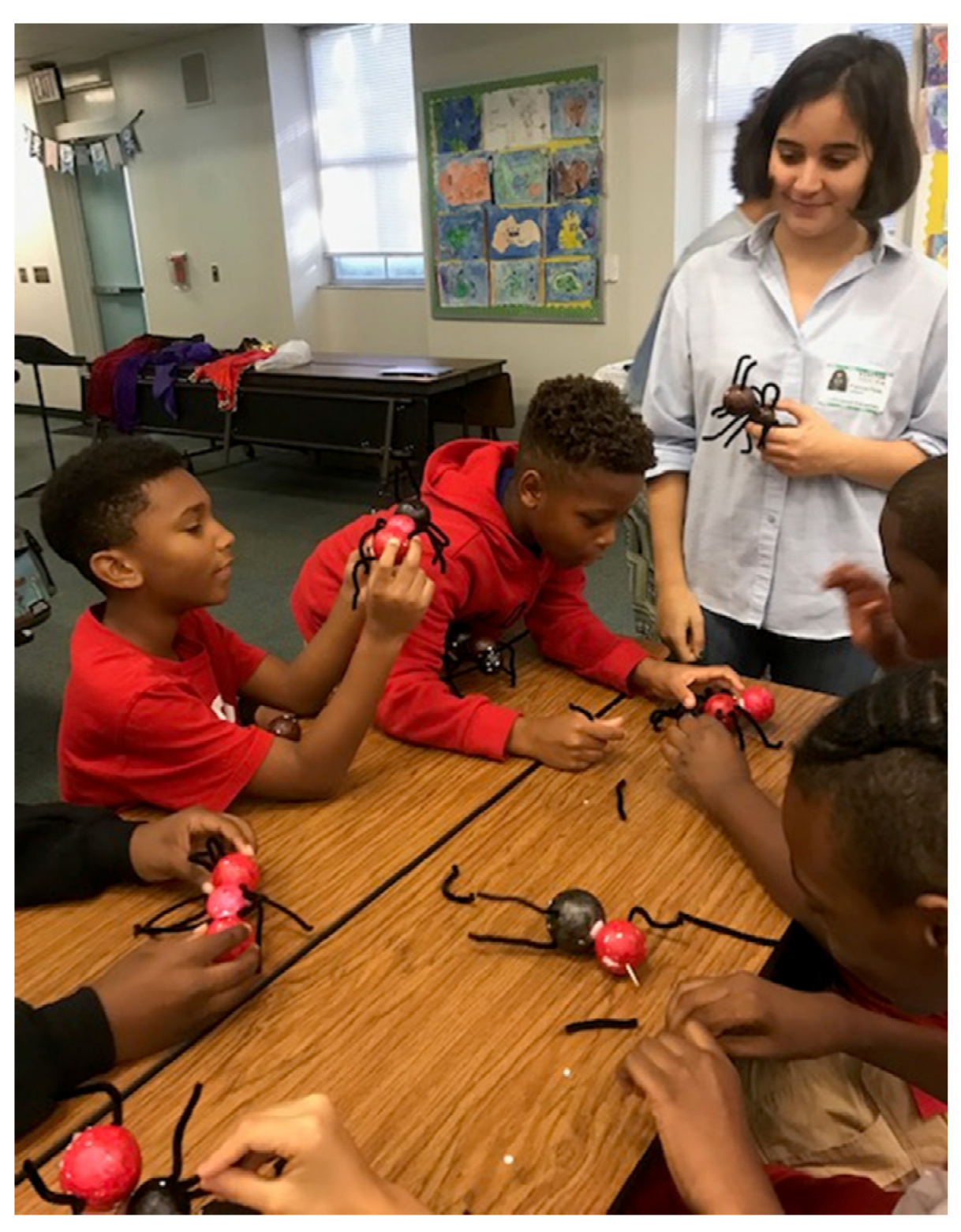 Insects 14 00118 g002